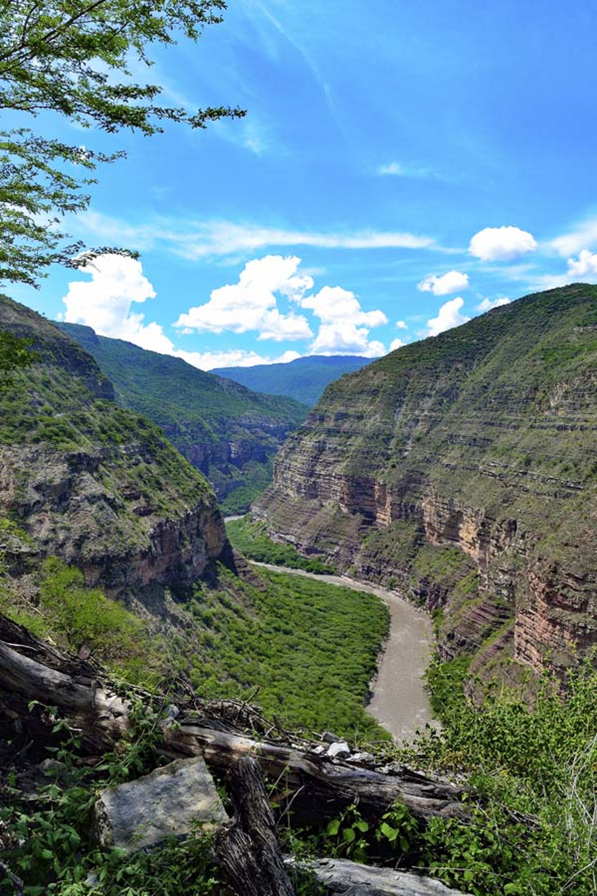 couple wearing silver-colored rings