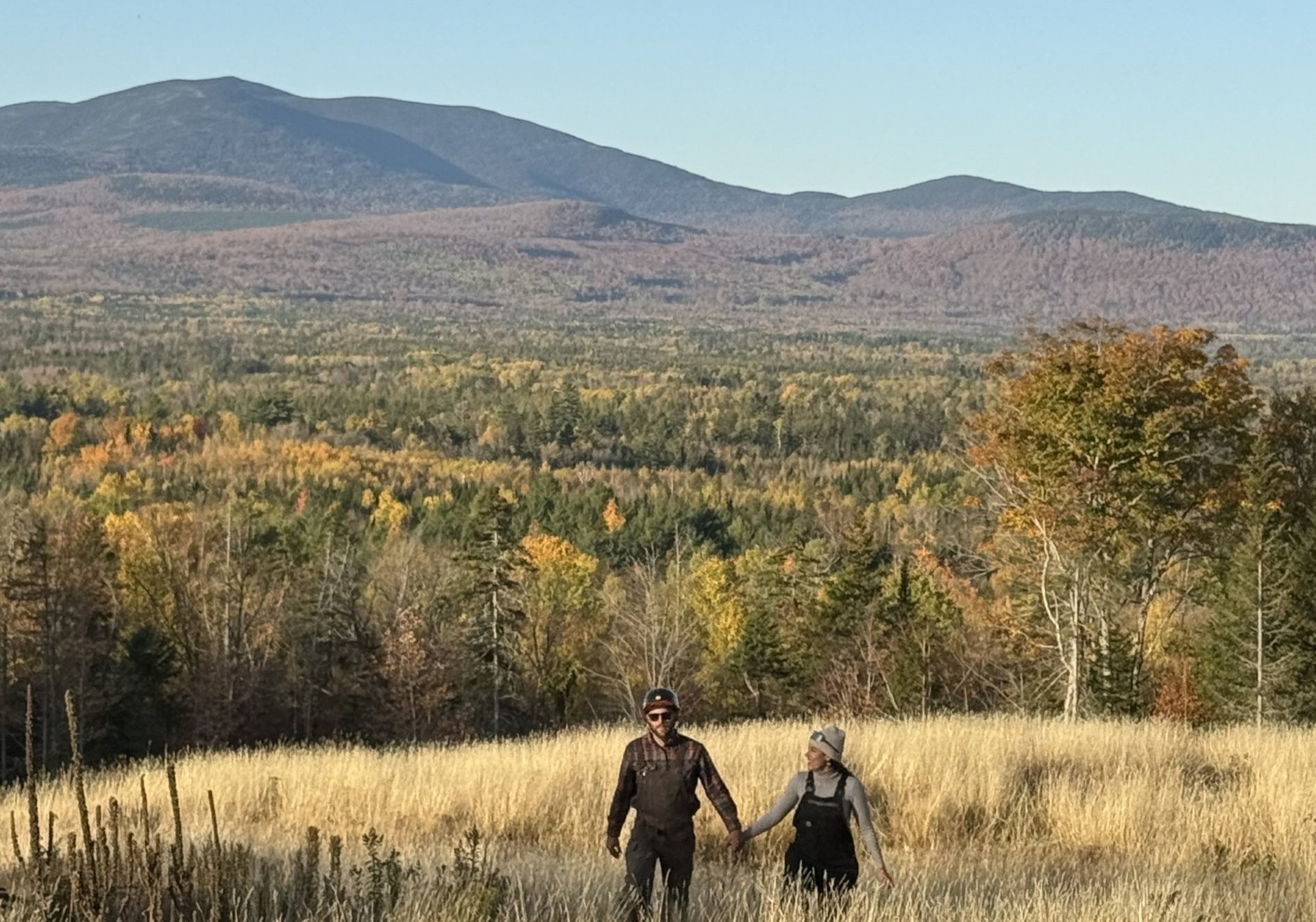 couple wearing silver-colored rings