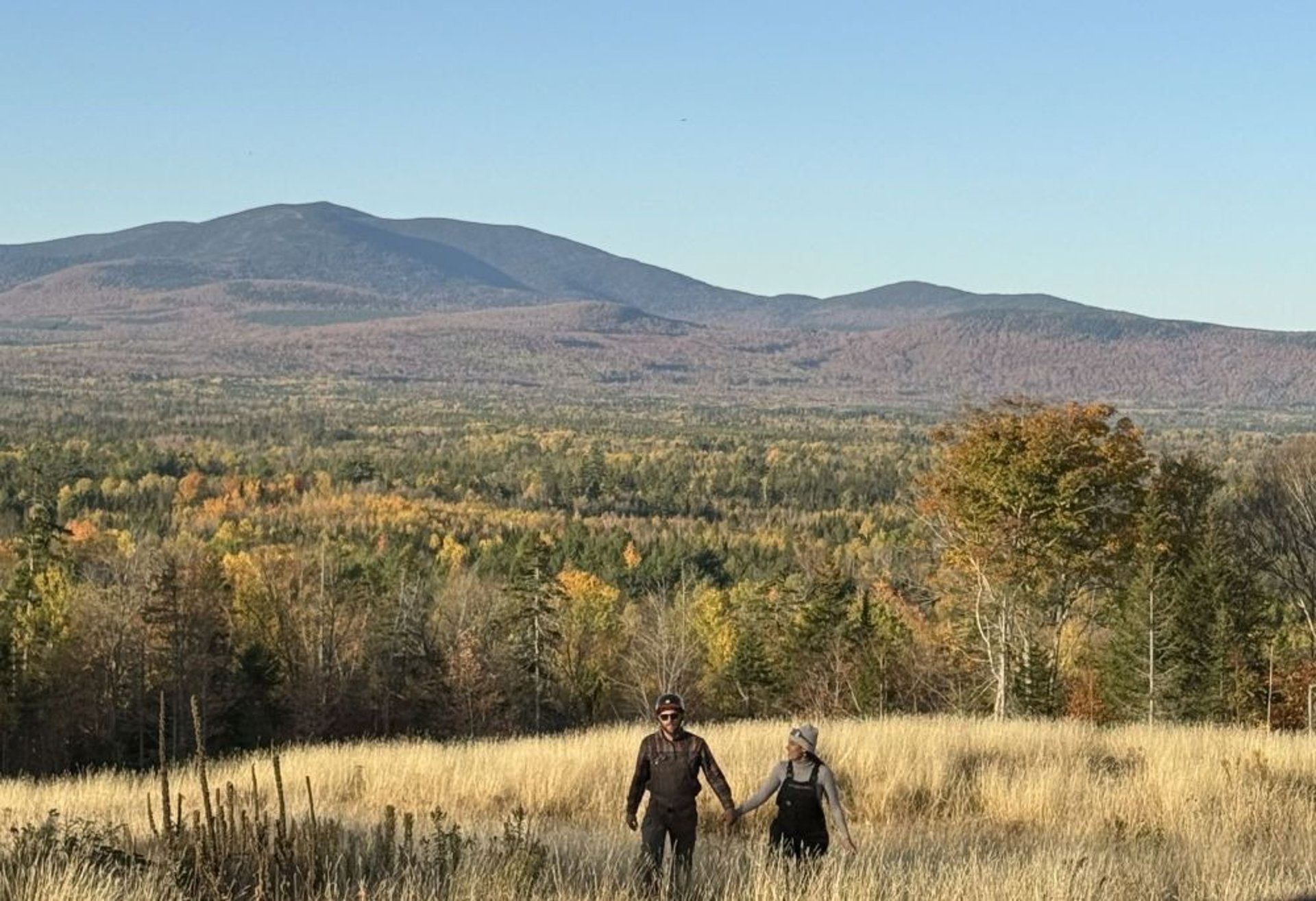 couple wearing silver-colored rings