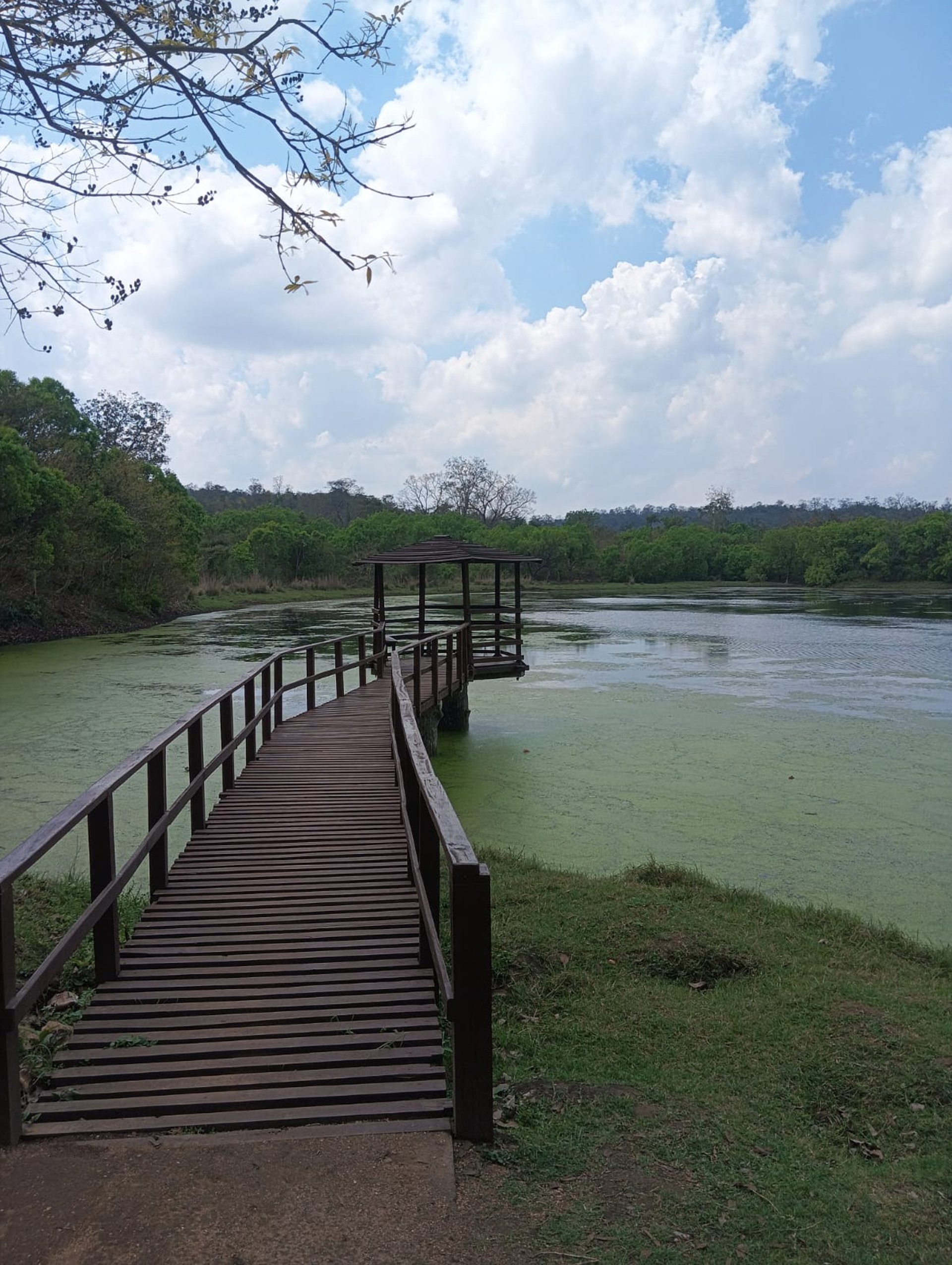 Kamaldah lake, Ranchi to Netarhat taxi, Ranchi Taxi, Ranchi cab service, Netarhat,