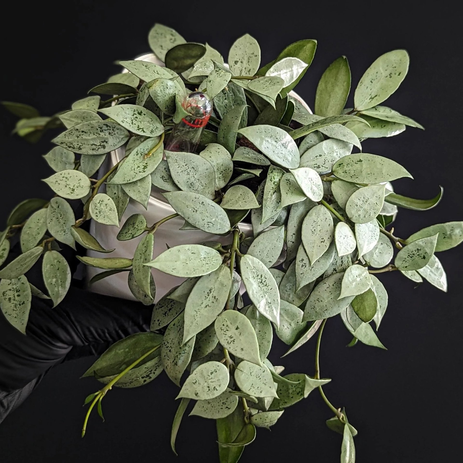 black blue and yellow textile