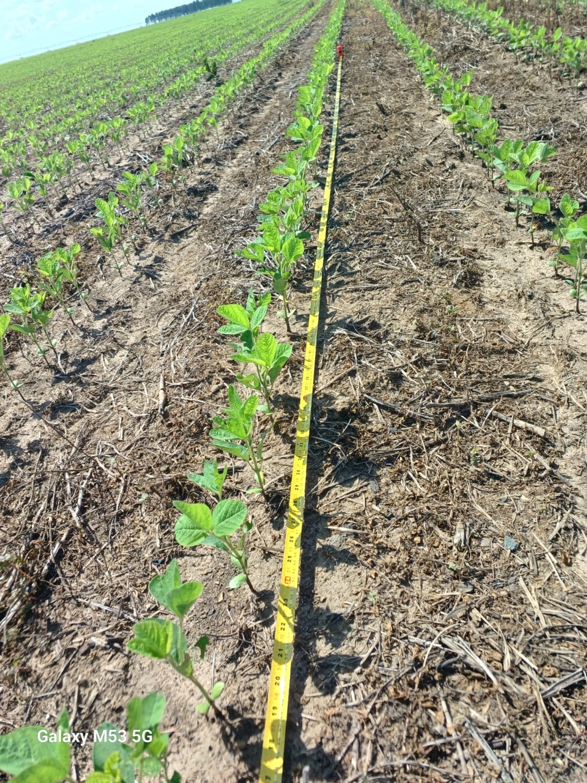 gray computer monitor