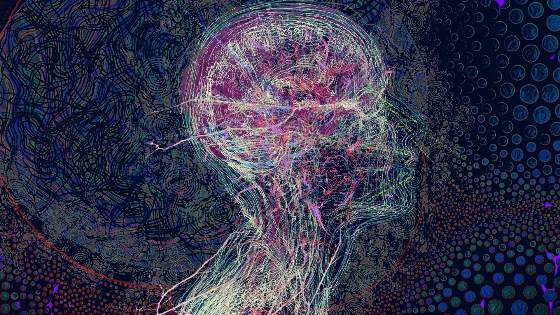 black and white bed linen