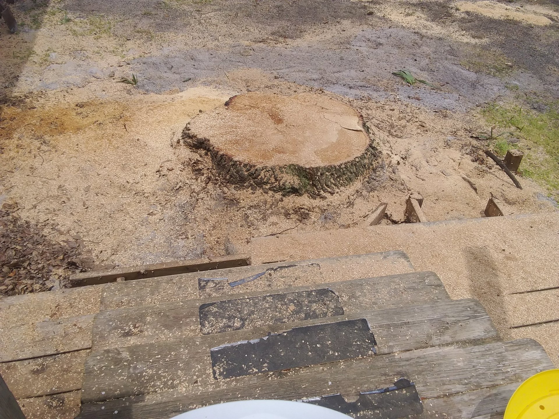 a person wearing a helmet and climbing a tree