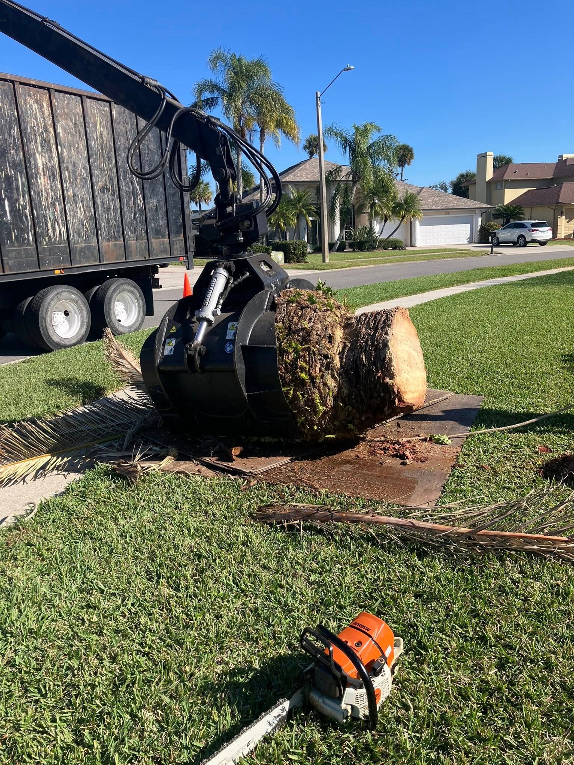a person wearing a helmet and climbing a tree