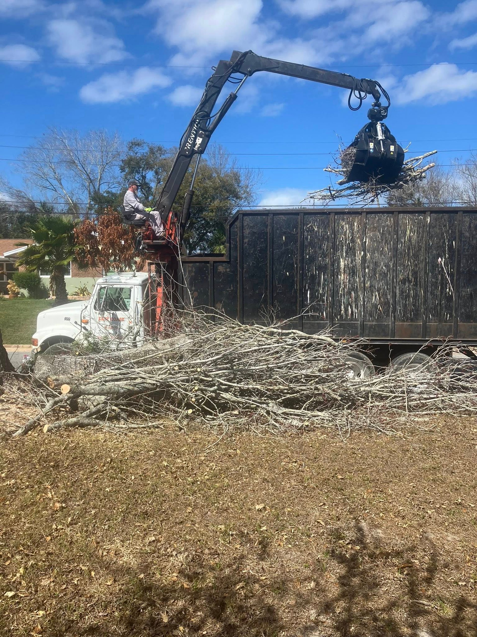 A tree arborist is climbing a ladder to trim branches.