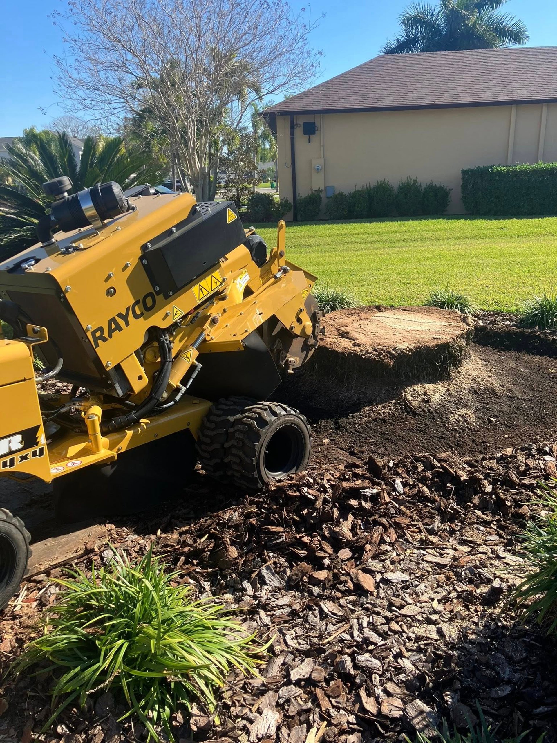 A tree arborist is climbing a ladder to trim branches.