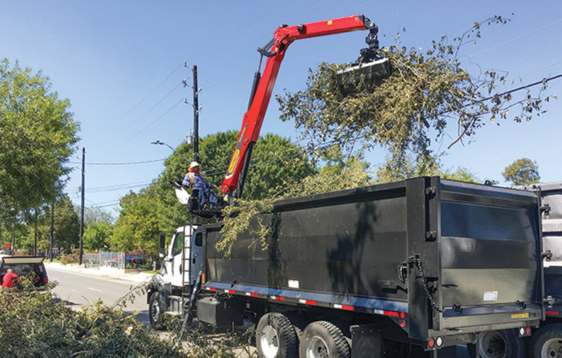A tree arborist is climbing a ladder to trim branches.