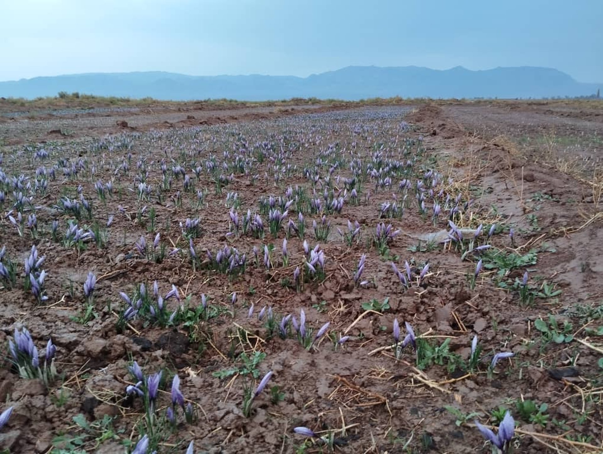 person wearing grey knit sweater
