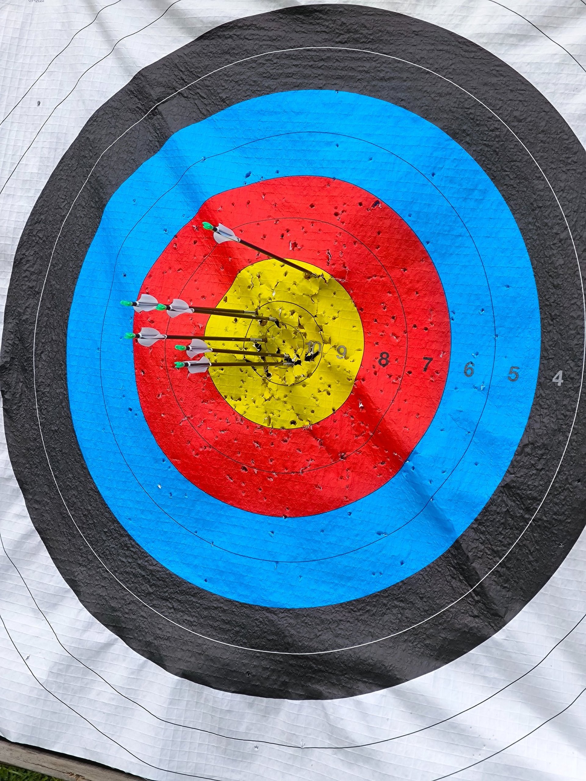 arrows in shooting target
