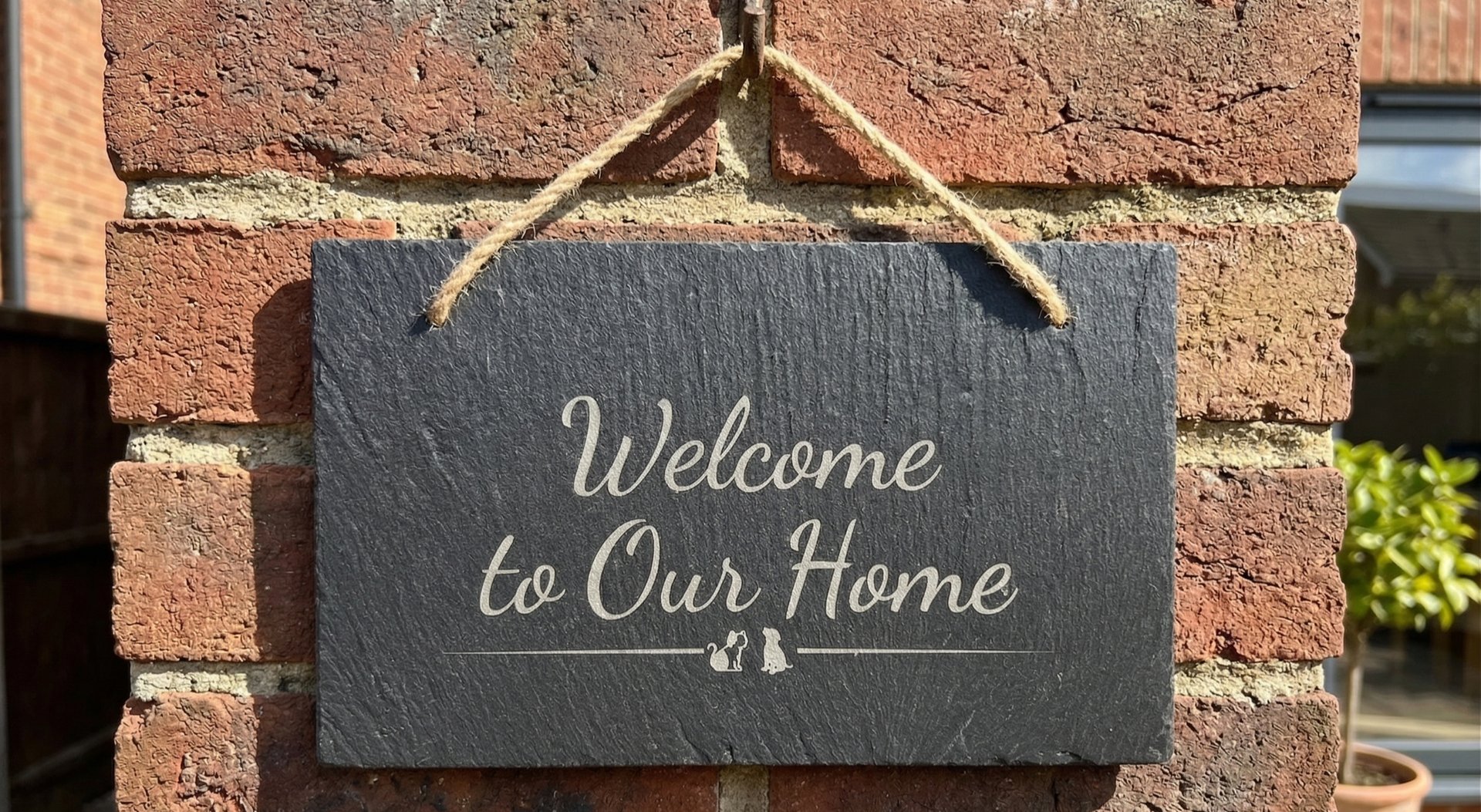 purple and blue light illustration