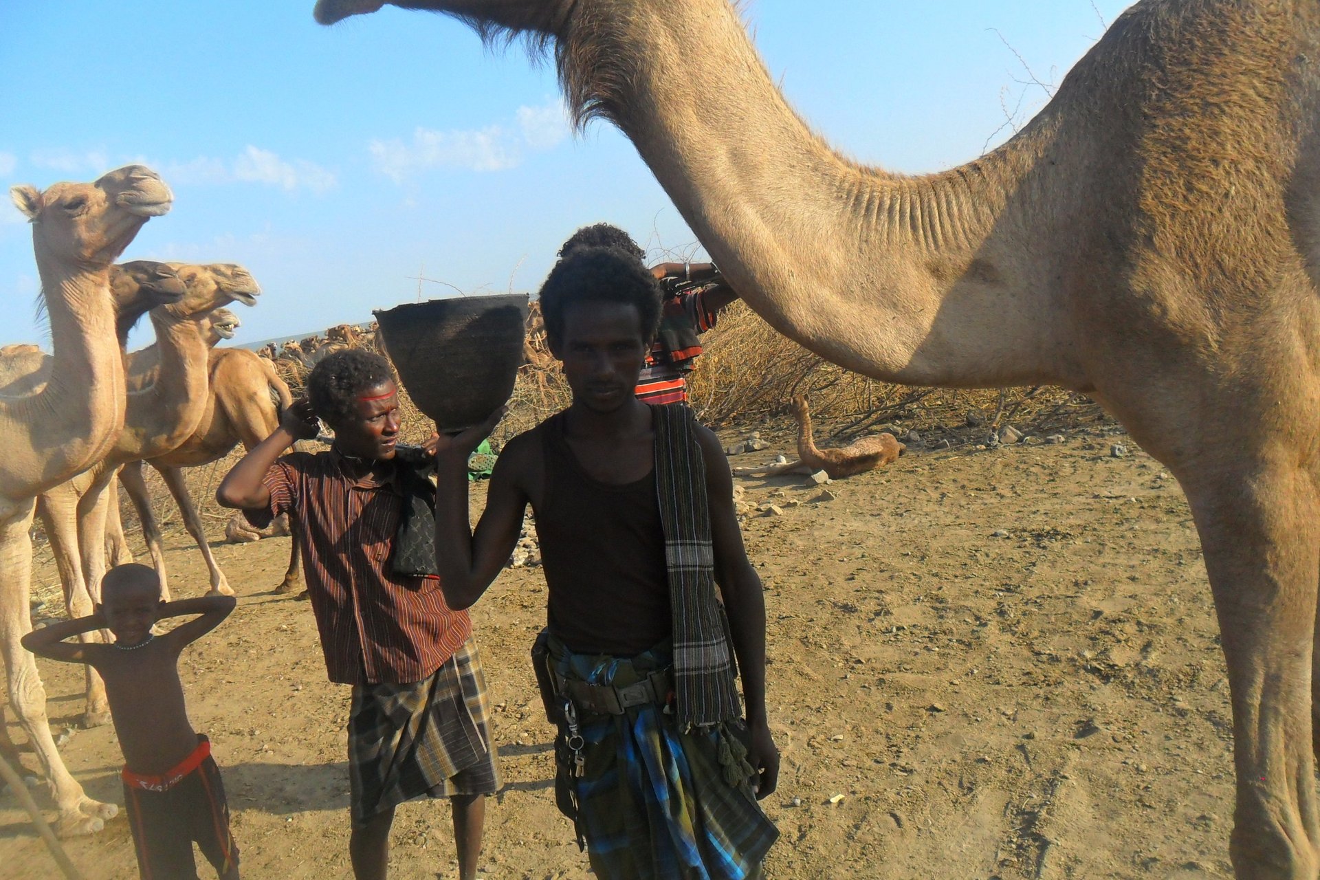 gray computer monitor