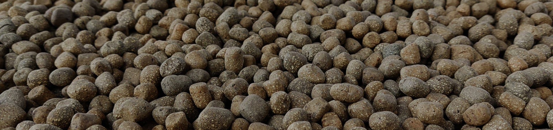 woman wearing yellow long-sleeved dress under white clouds and blue sky during daytime