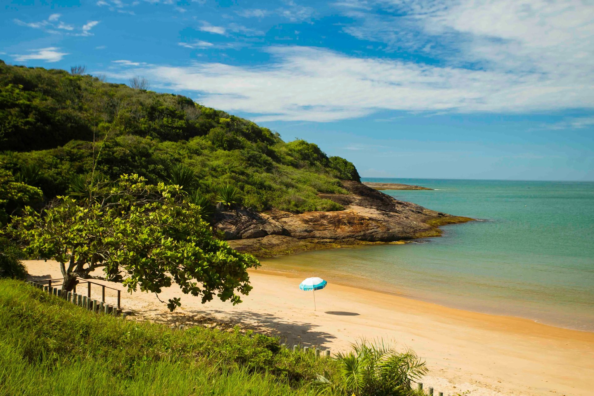 black blue and yellow textile