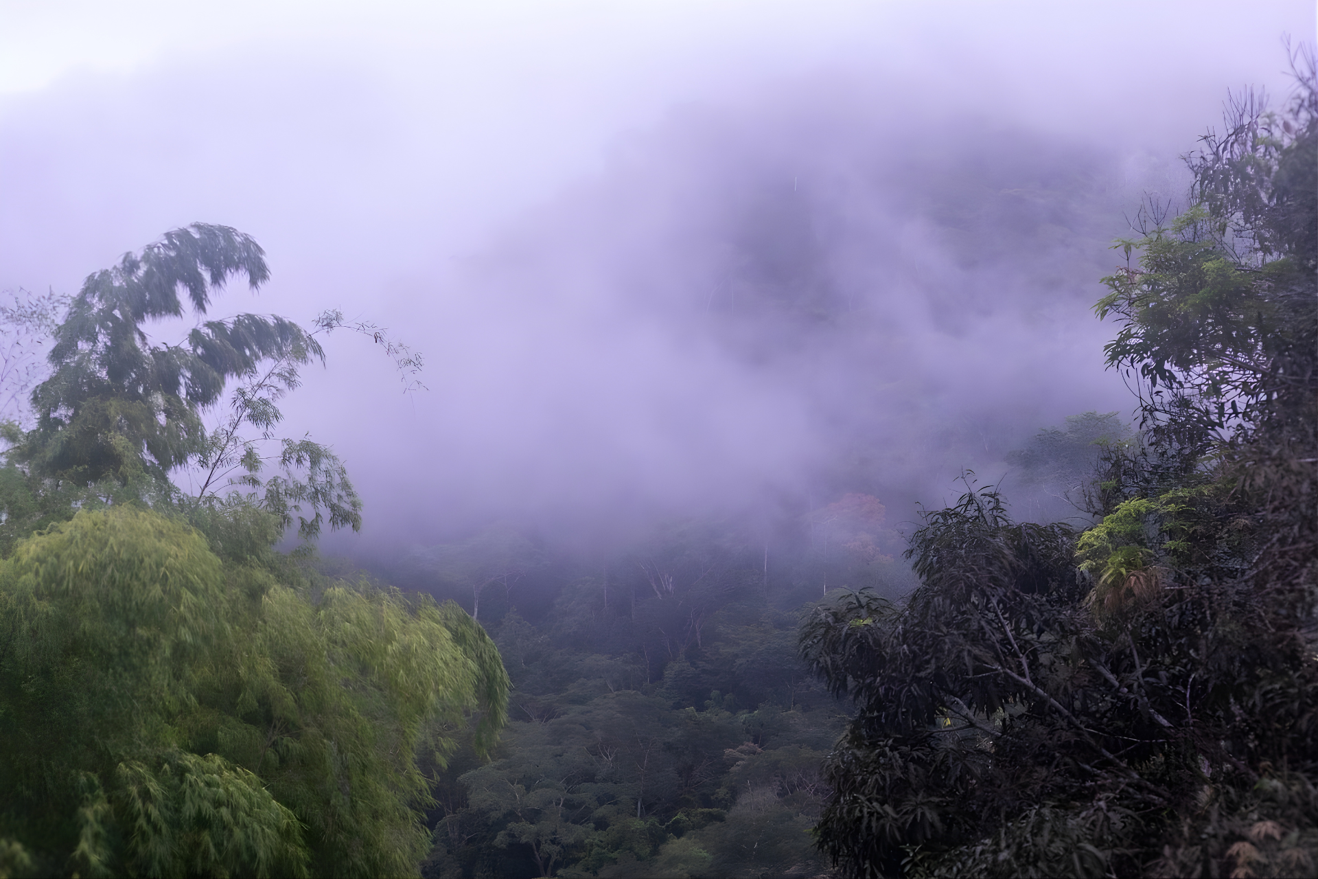 gray computer monitor