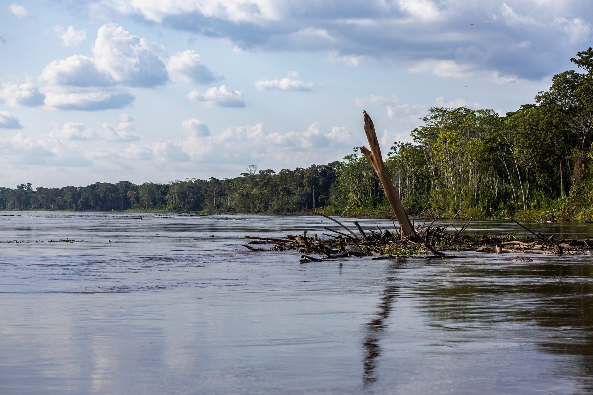 an abstract photo of a curved building with a blue sky in the background