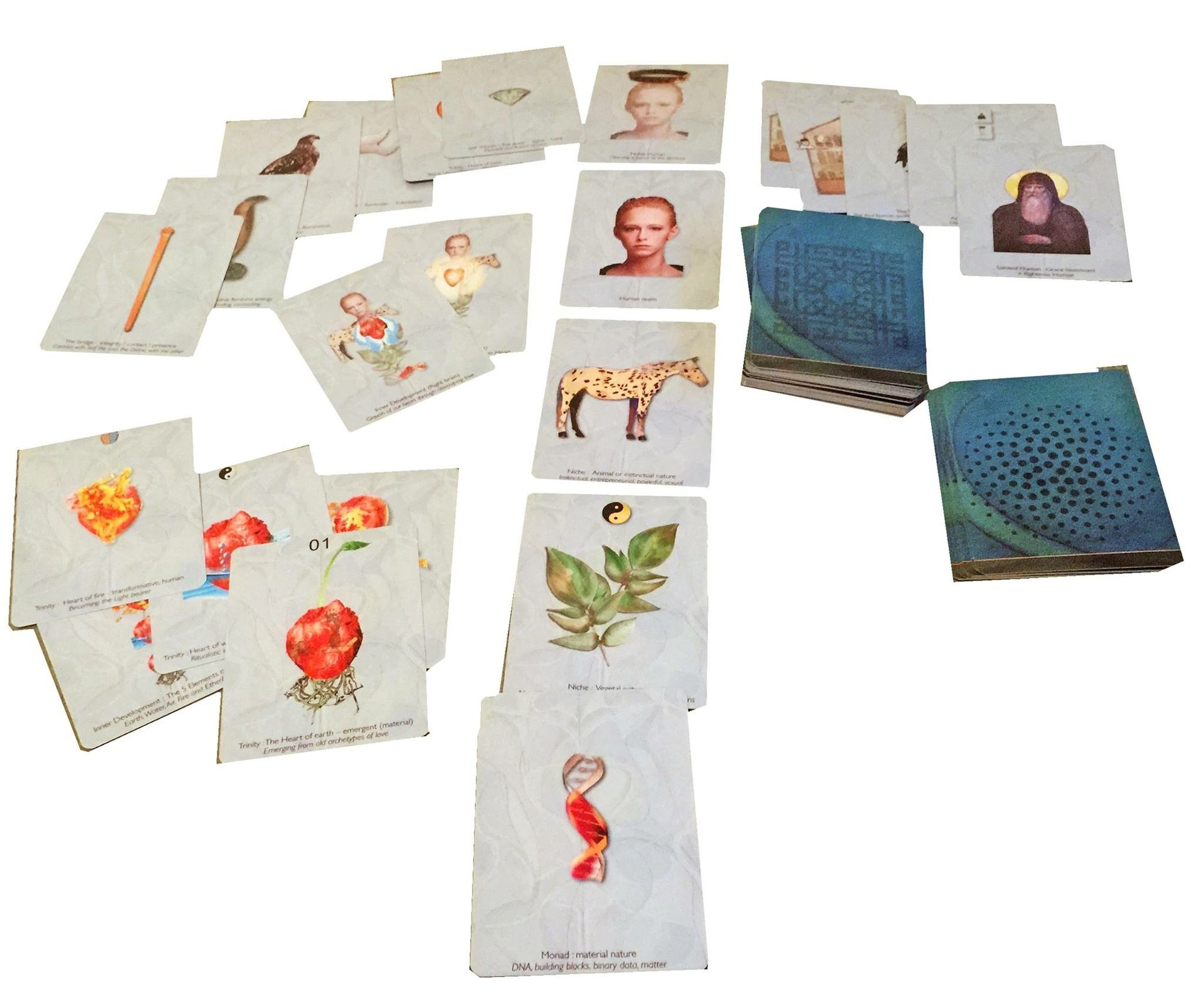 black berries on black surface