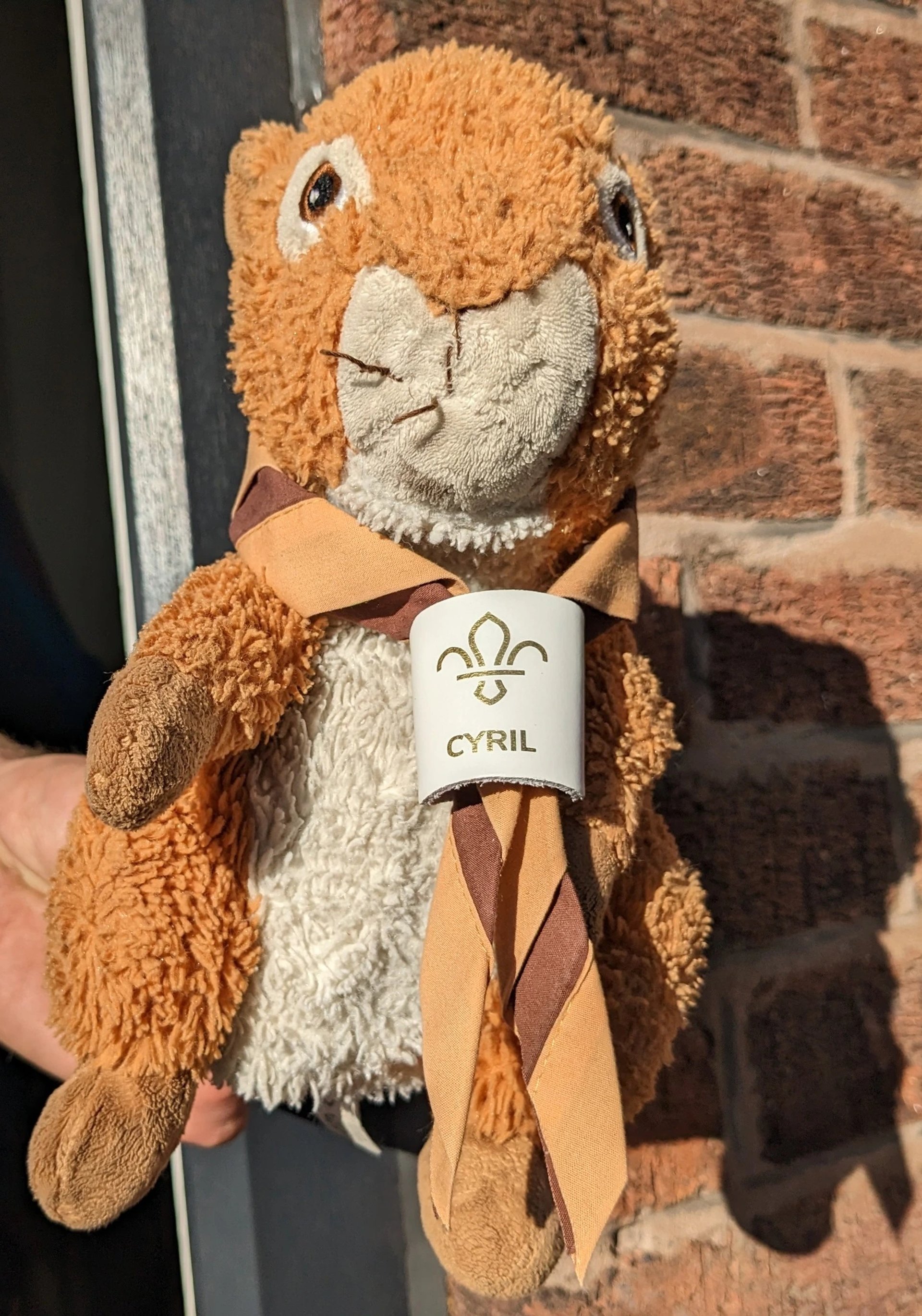an abstract photo of a curved building with a blue sky in the background