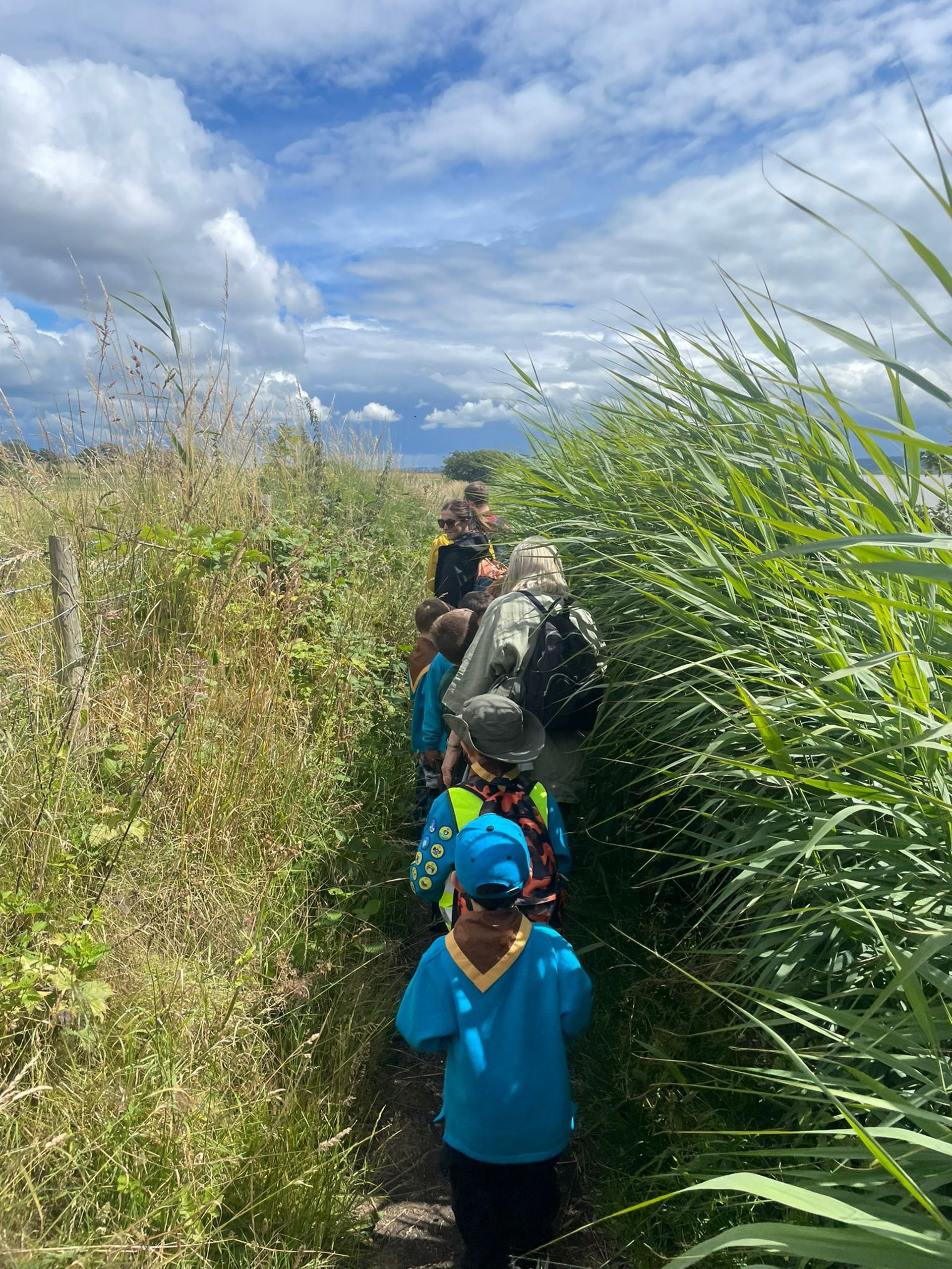 an abstract photo of a curved building with a blue sky in the background