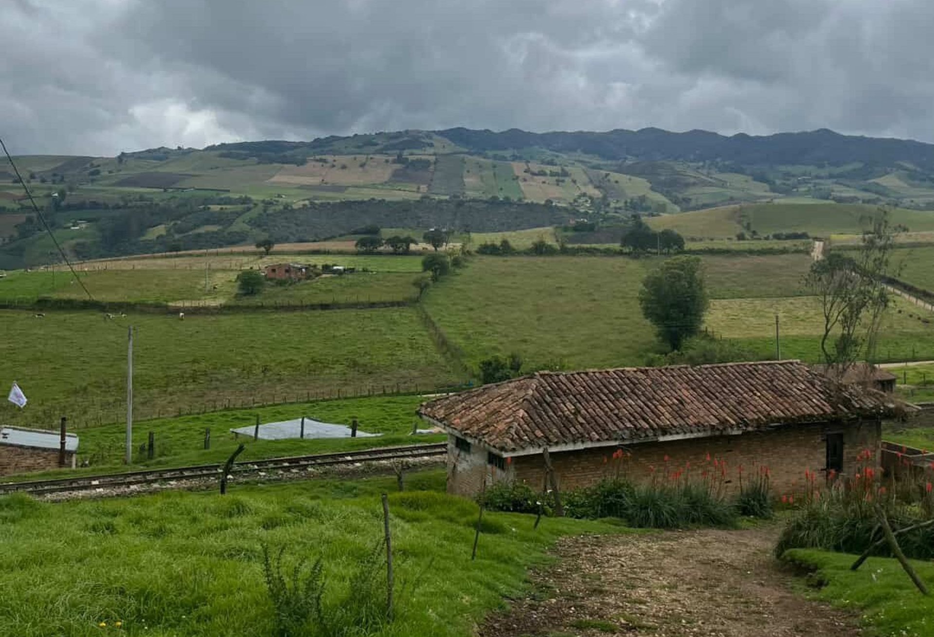 gray computer monitor