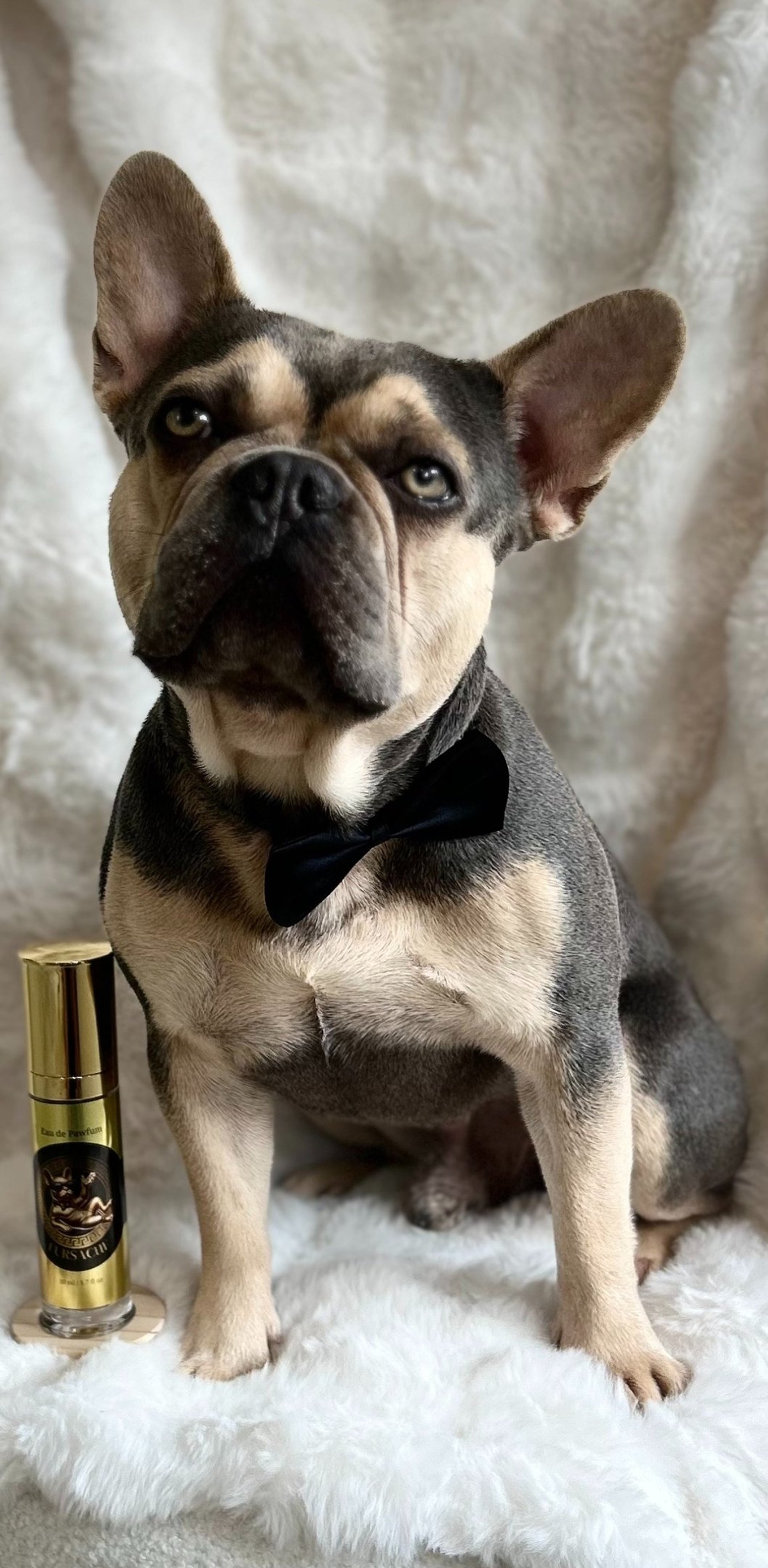 person wearing grey knit sweater