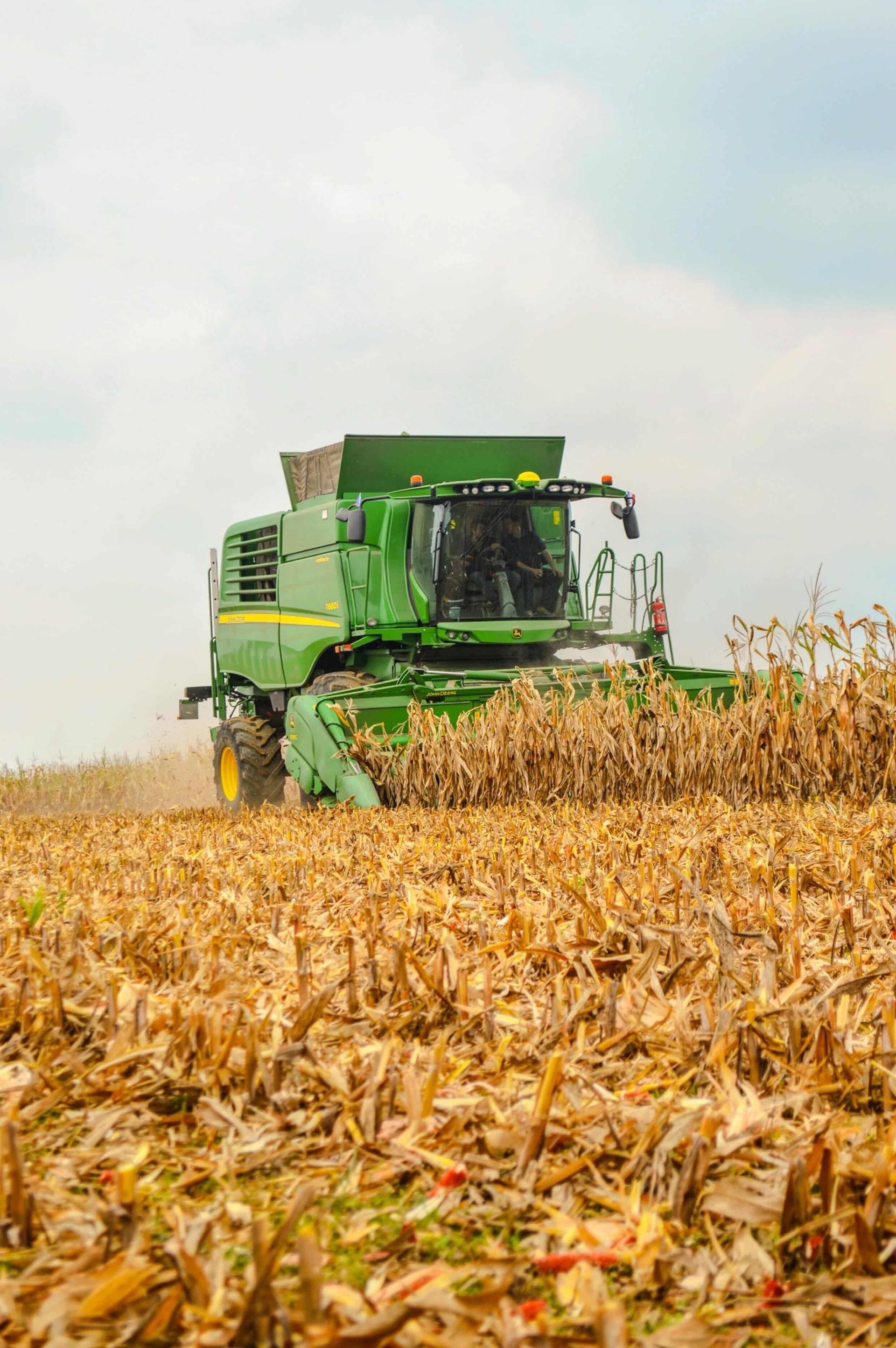 green covered land under blue sky