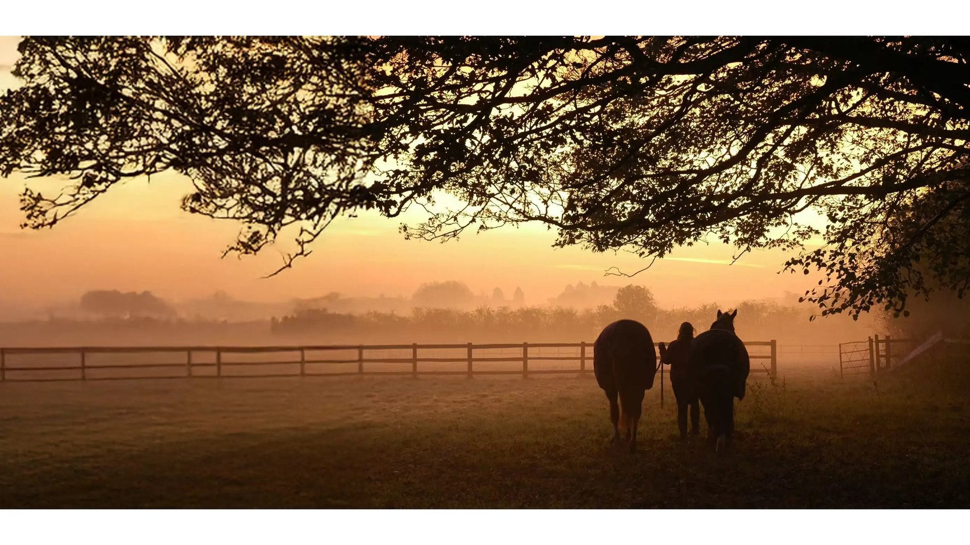 Early Morning in Buckinghamshire