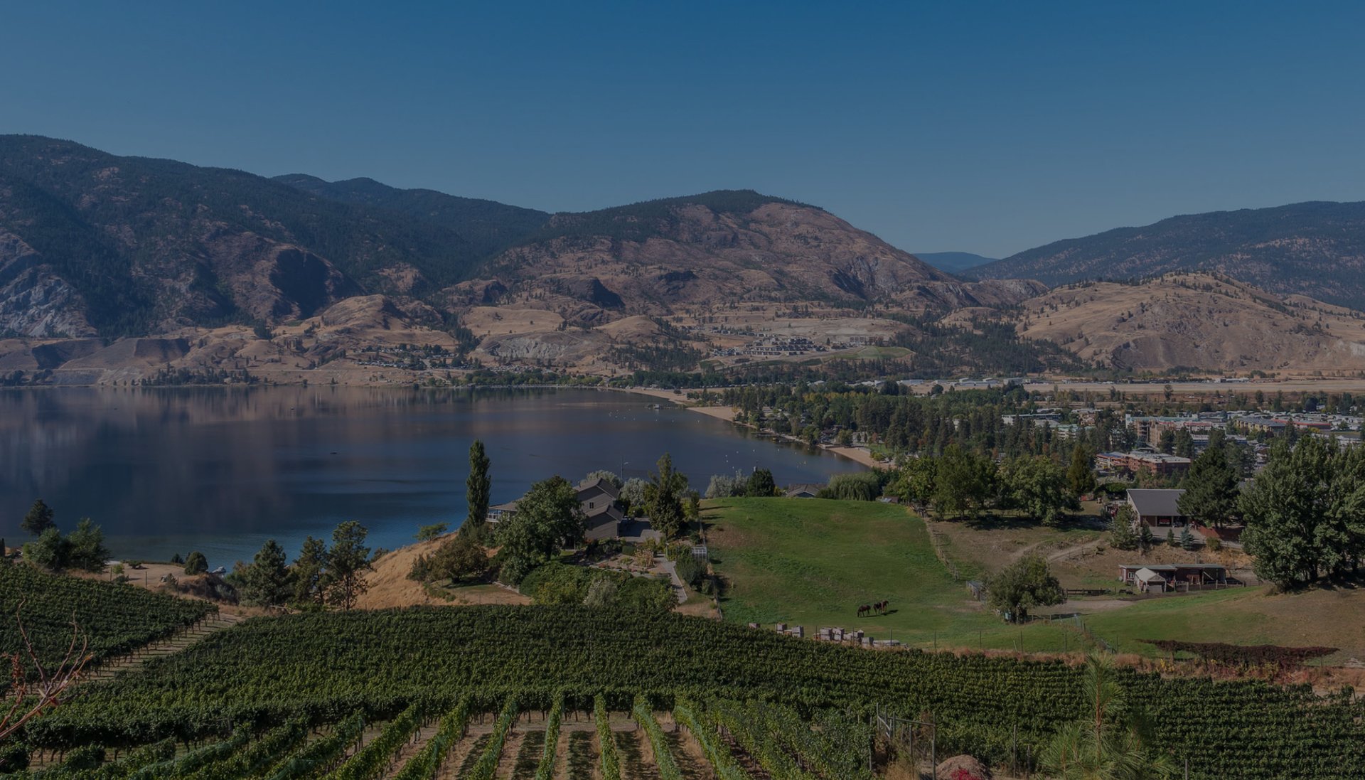 black and brown leather padded tub sofa