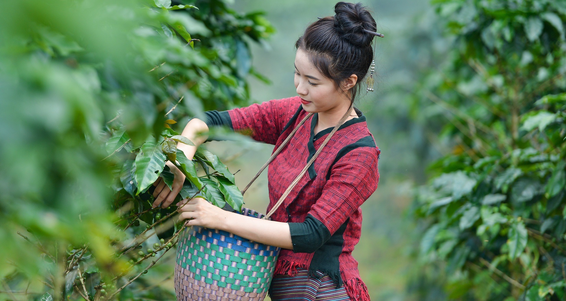black and brown leather padded tub sofa