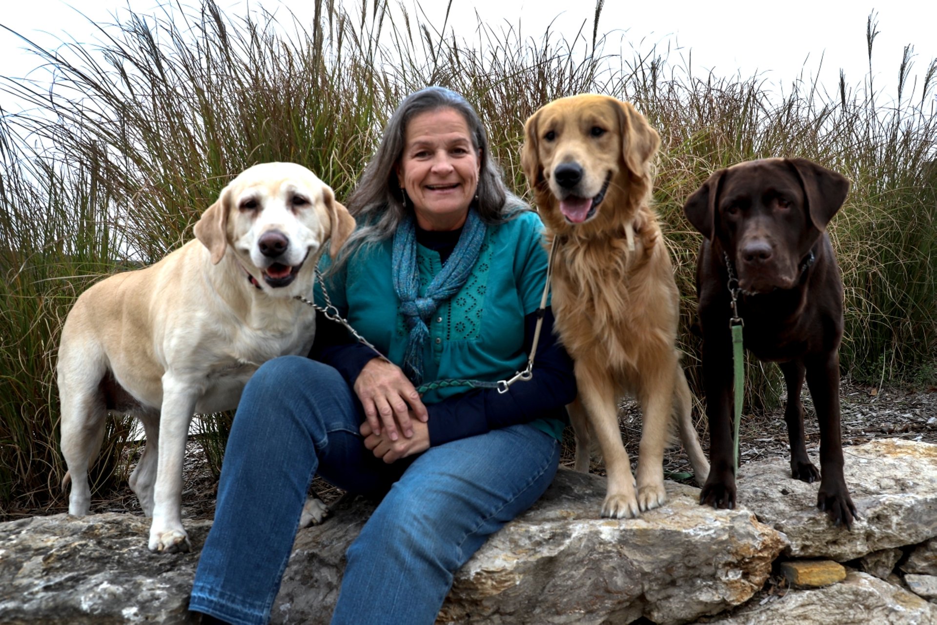 a close up of a black and brown abstract painting