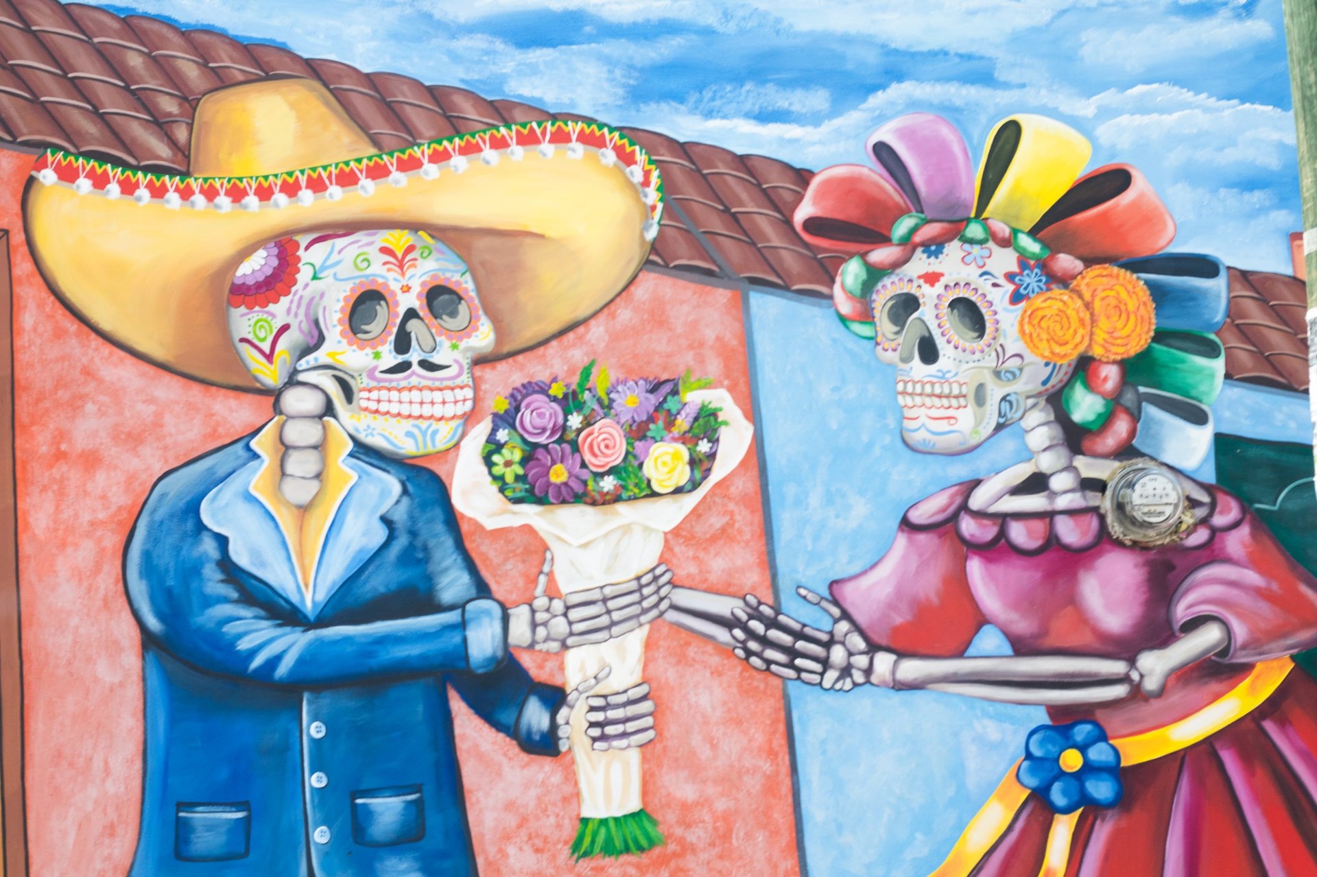 woman holding dried flower