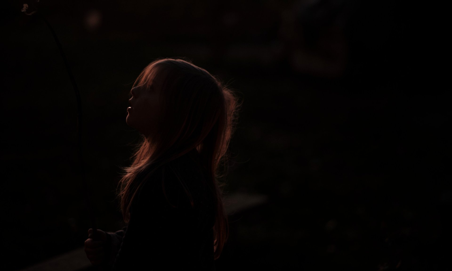 an abstract photo of a curved building with a blue sky in the background