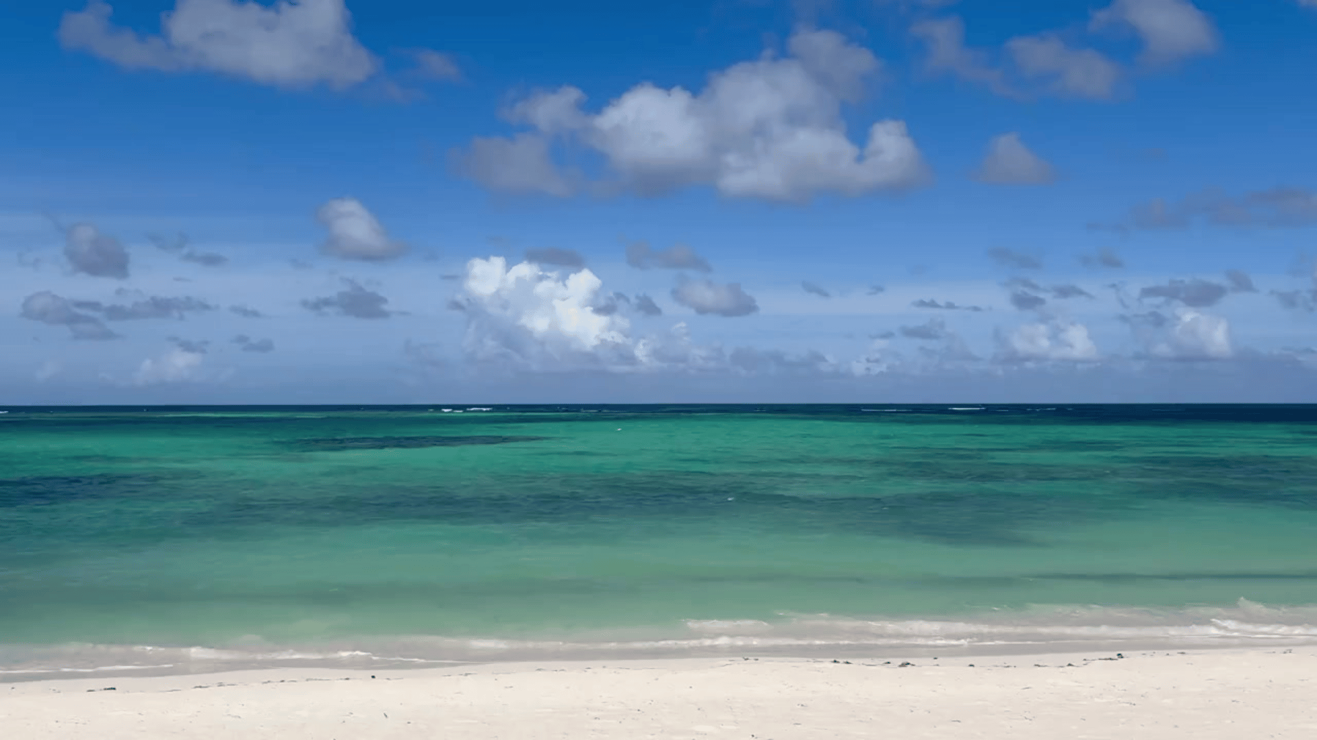 black and brown leather padded tub sofa