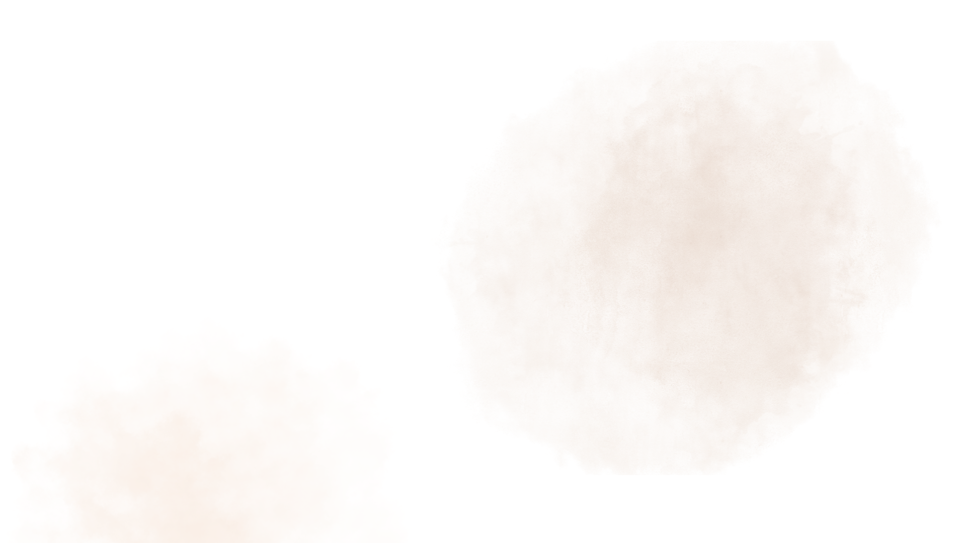 white flower petals on white background