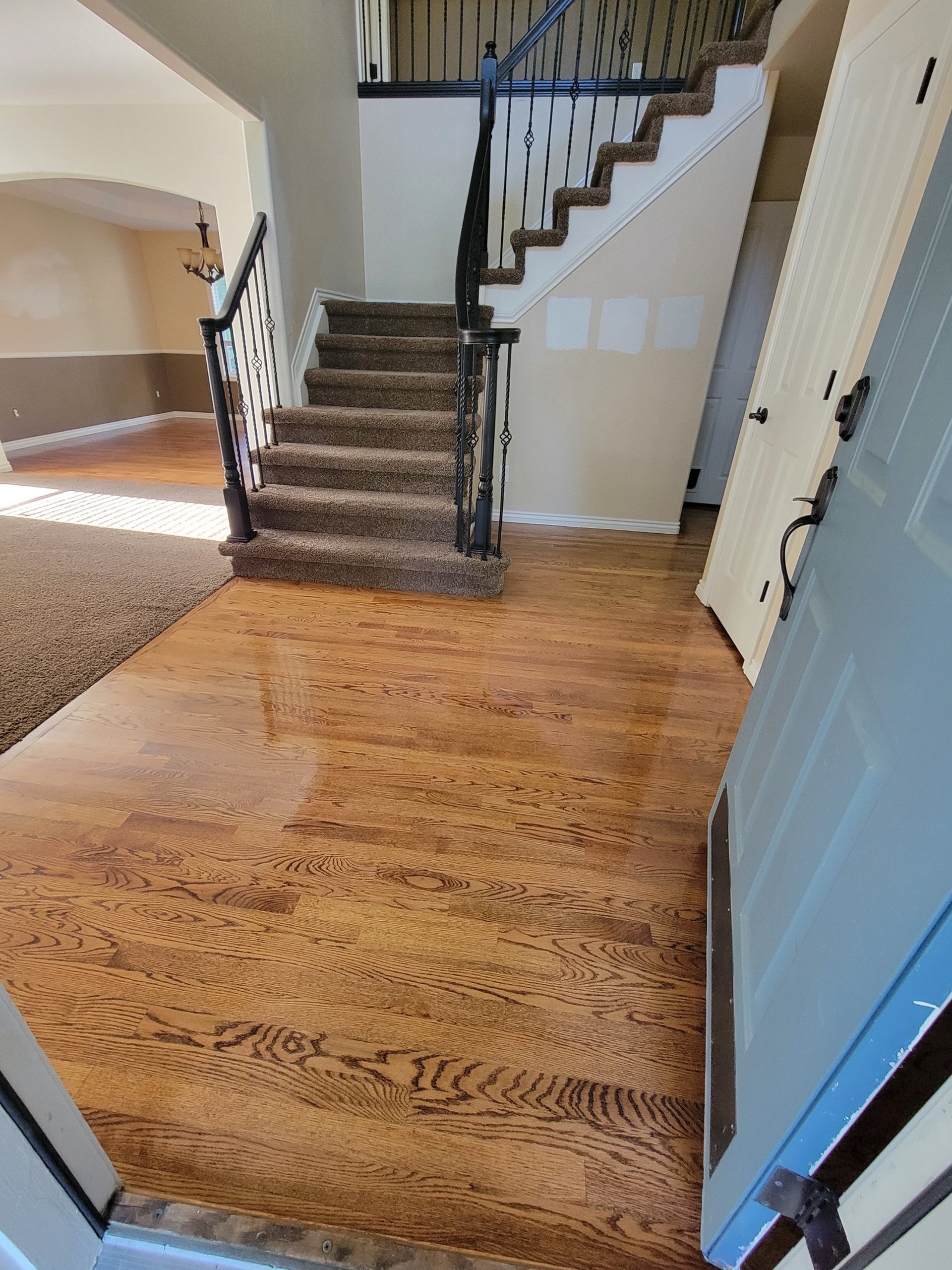 Photo of King Organic Clean just cleaned the Wood Floor Entry Way with clean brown carpet, clean flight of stairs, 