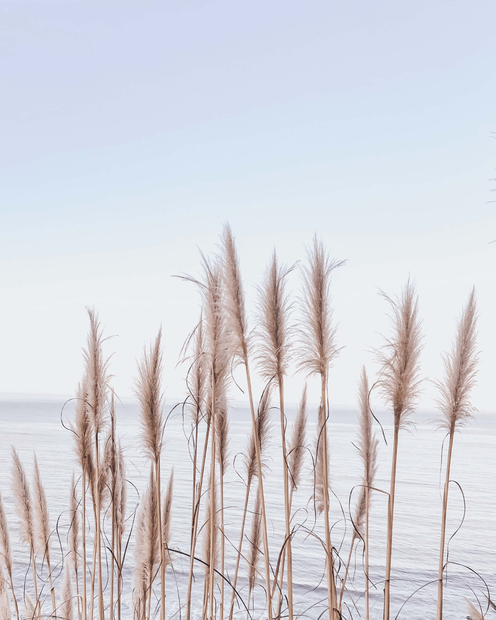 body of water surrounded by fog