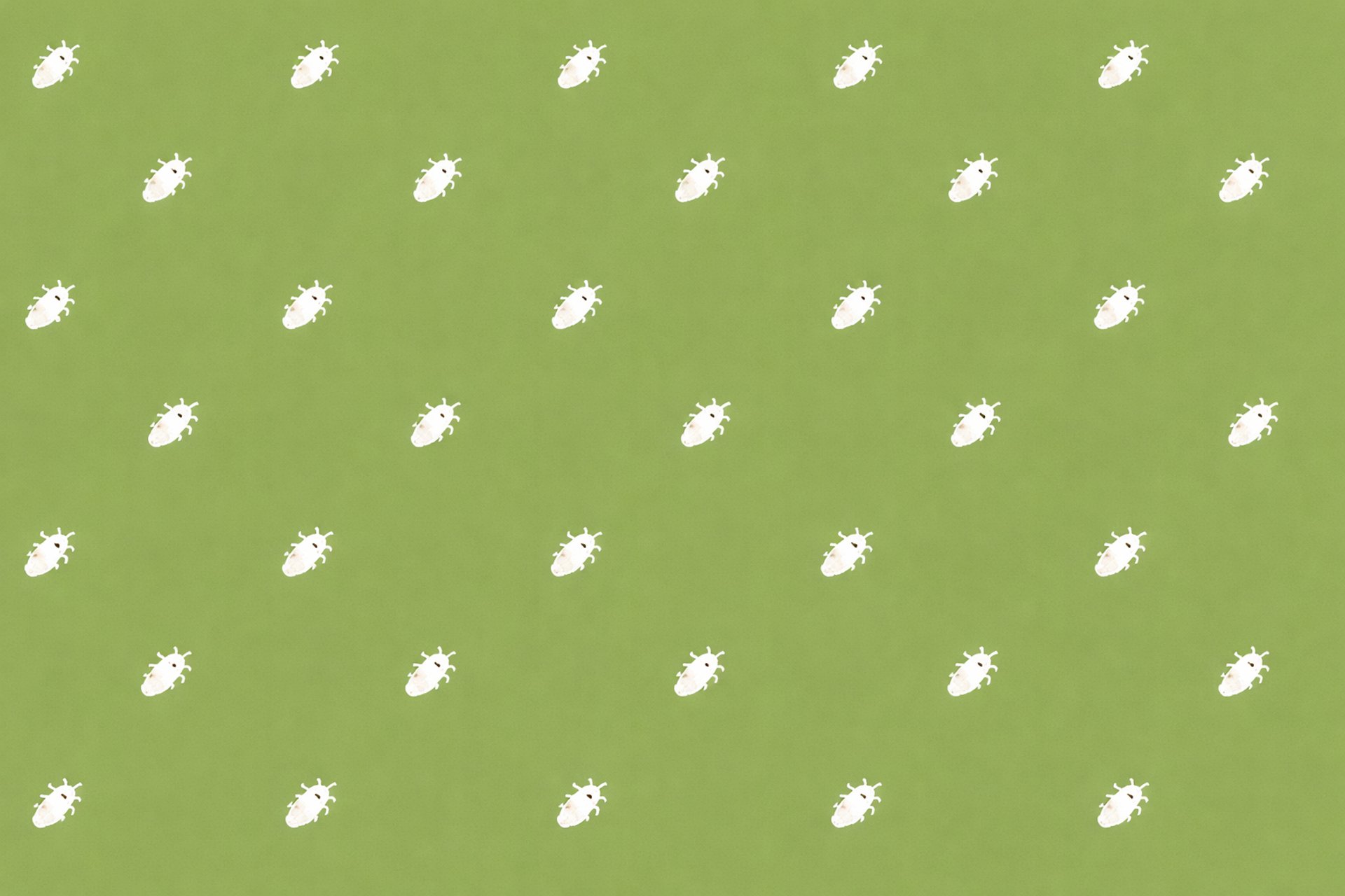 black and white bed linen