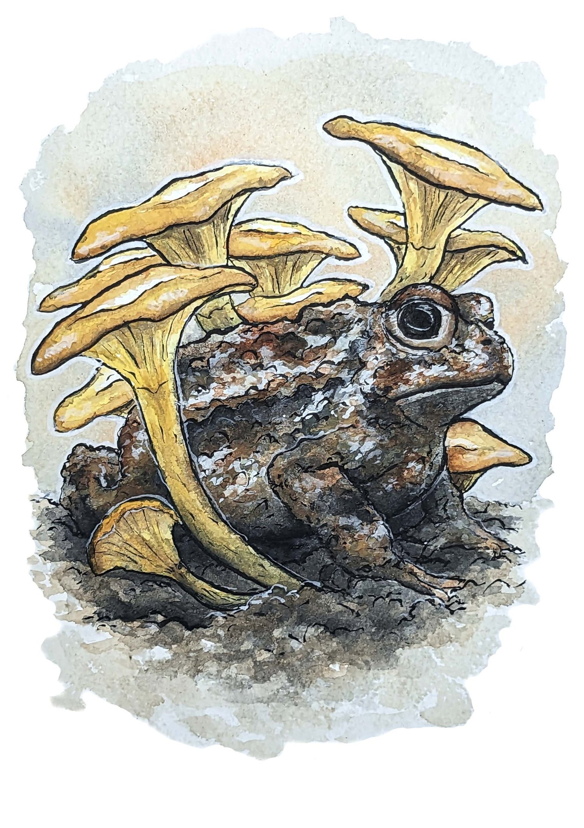 mountain range under blue sky