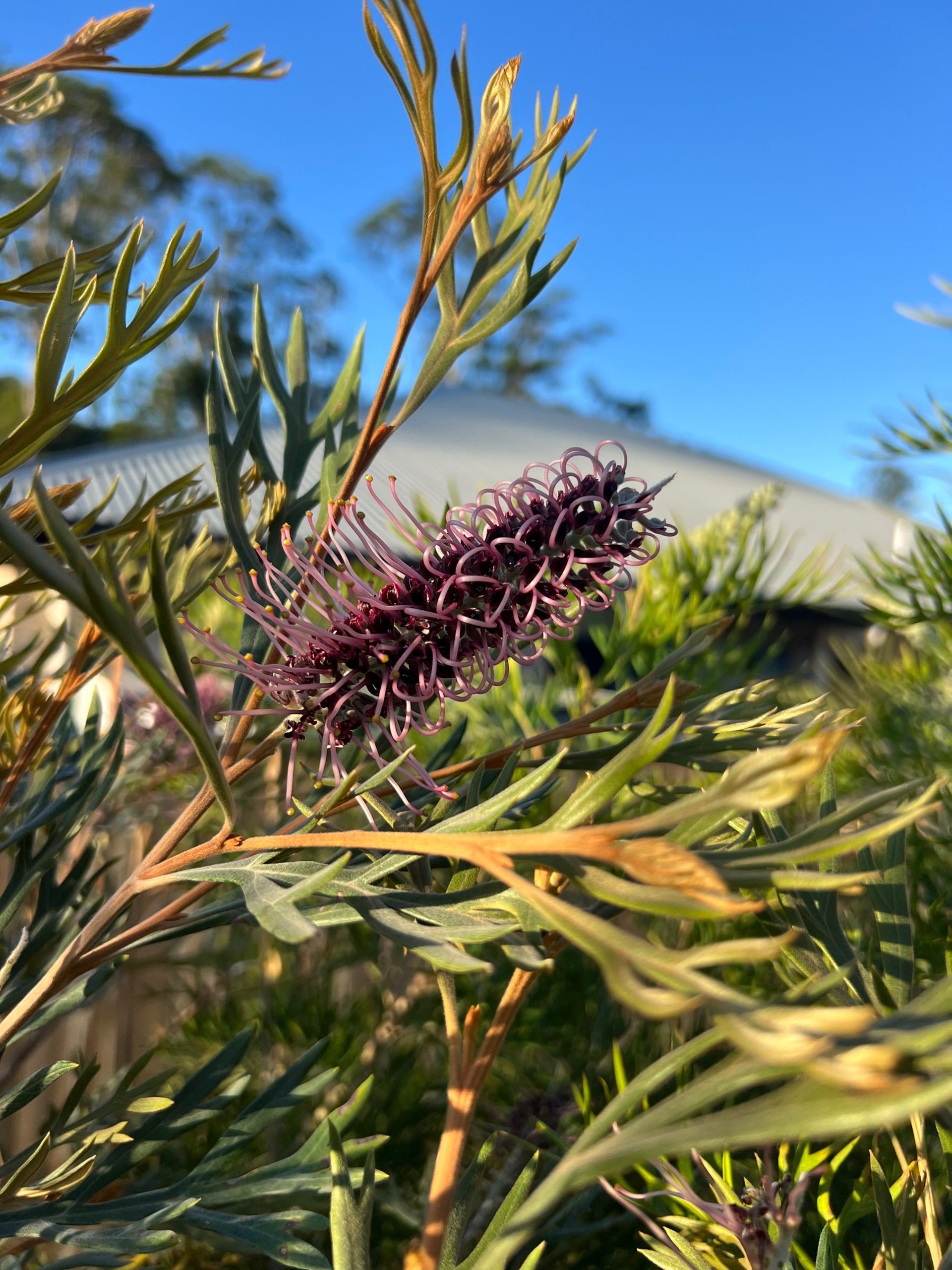 green grass field during daytime