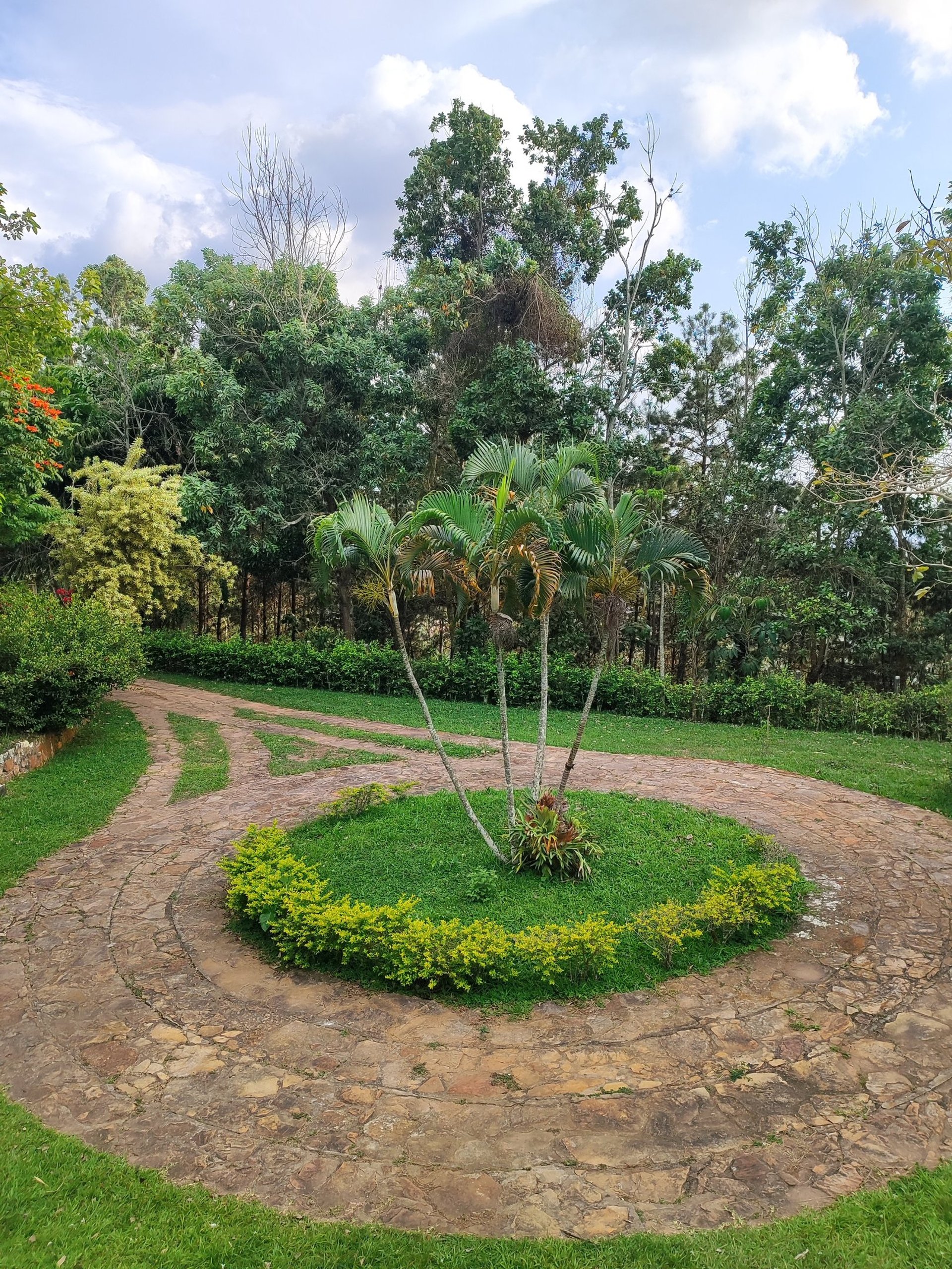 black blue and yellow textile