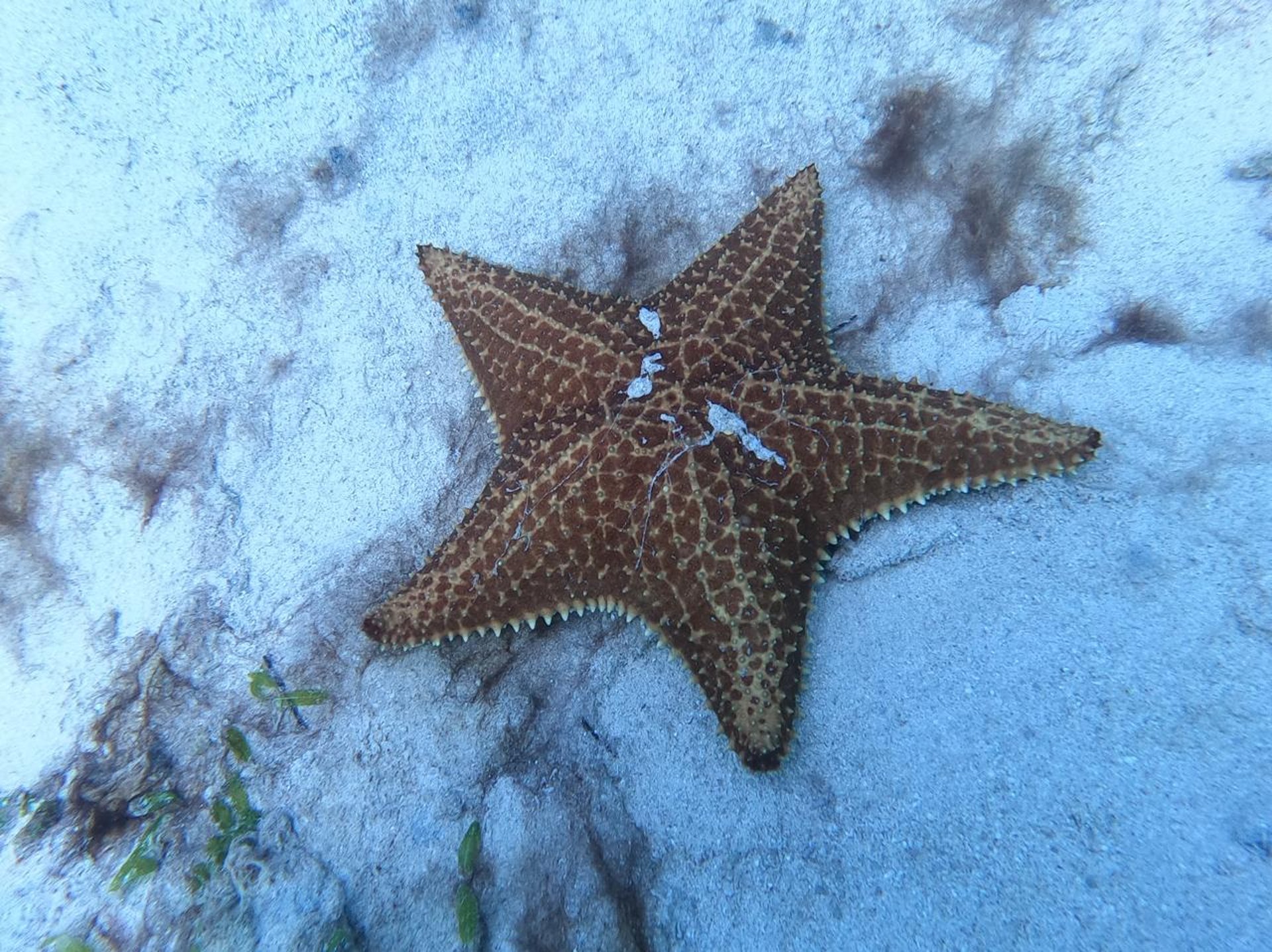 an abstract photo of a curved building with a blue sky in the background