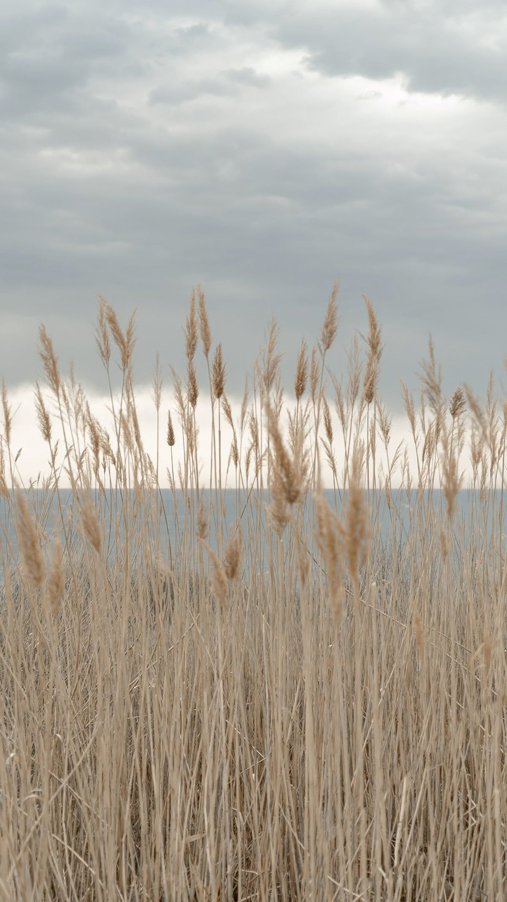 ocean waves crashing on shore during daytime