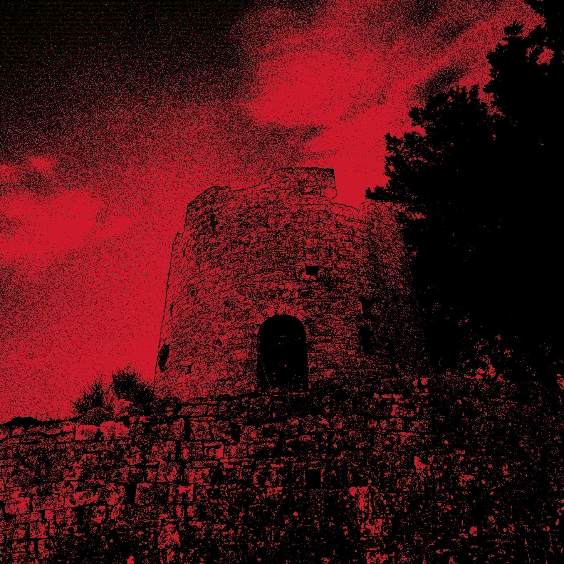 woman holding dried flower