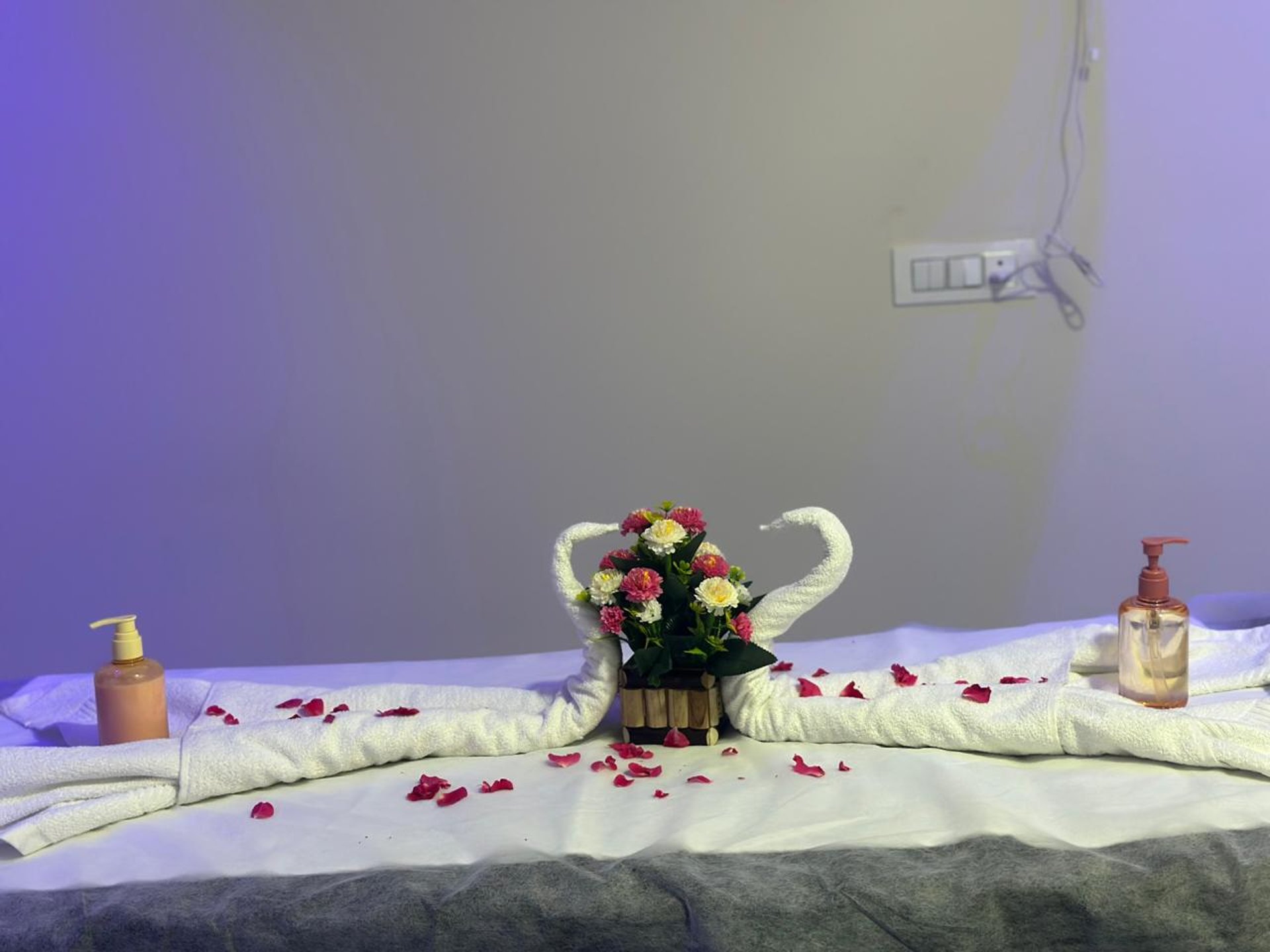 selective focus photography of green succulent plant