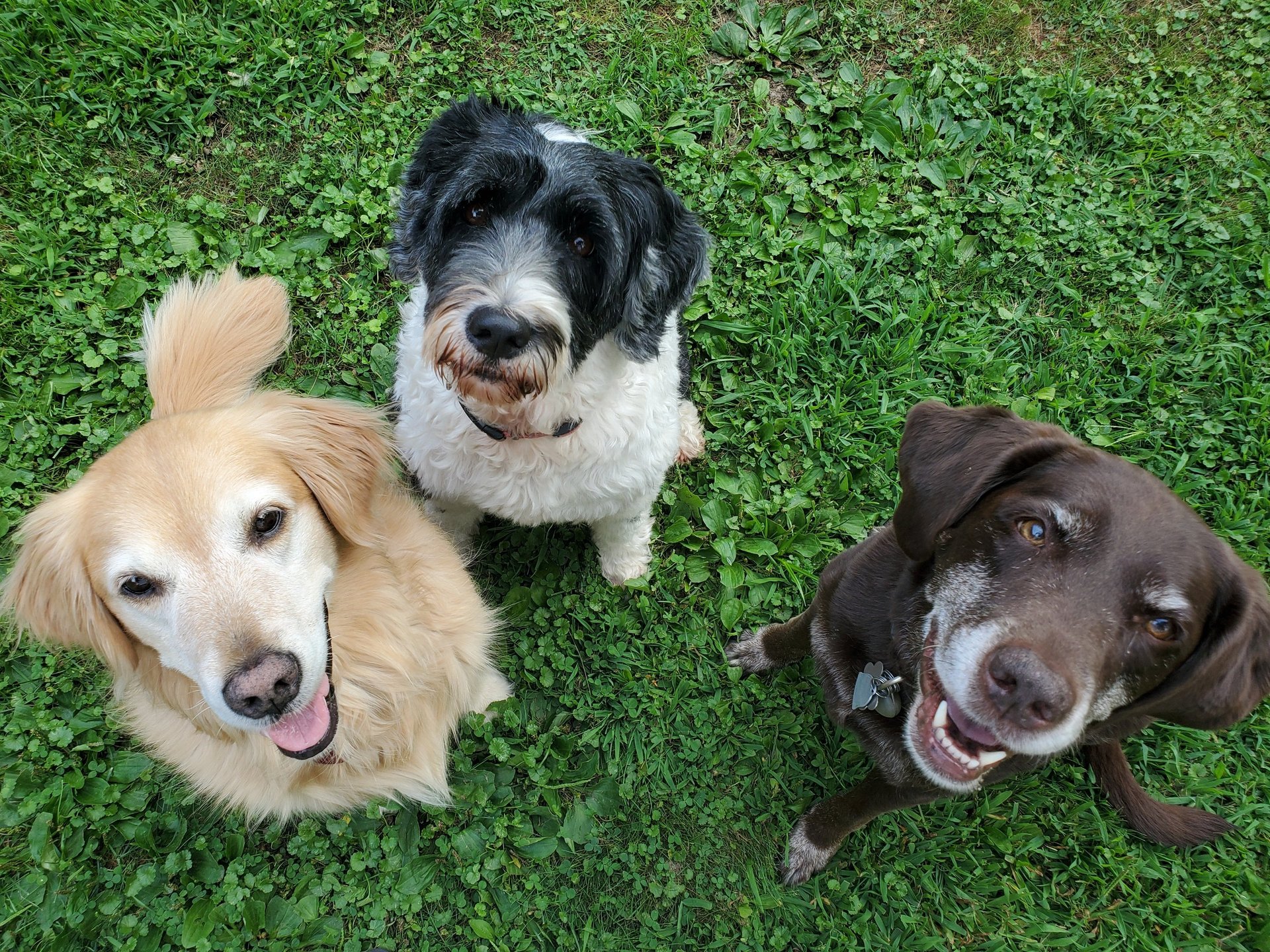woman wearing yellow long-sleeved dress under white clouds and blue sky during daytime