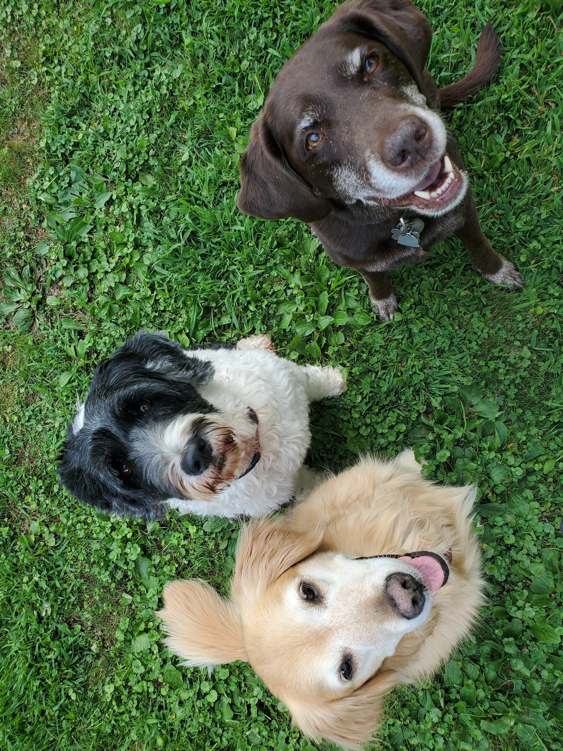 gray computer monitor