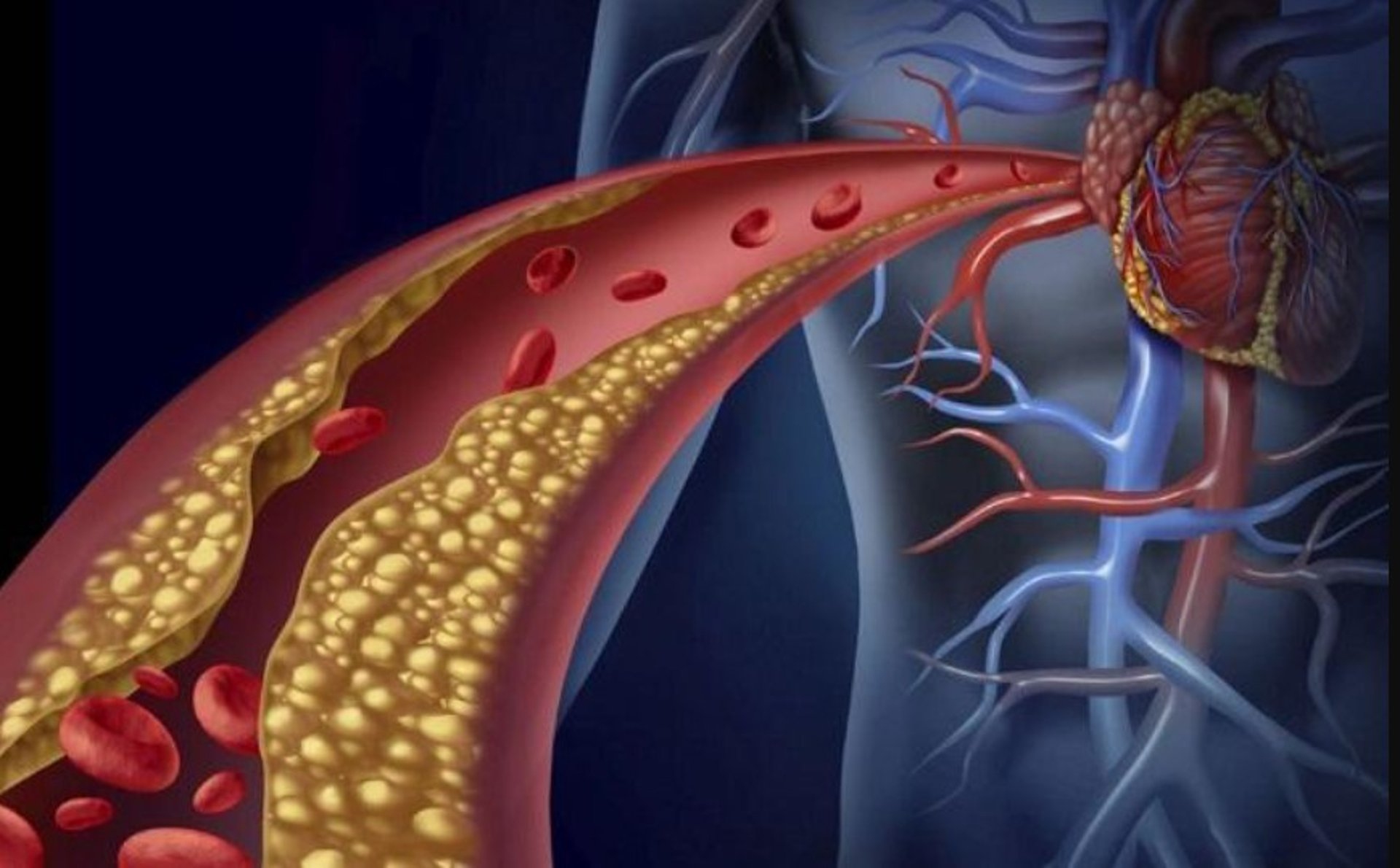 person writing on white paper