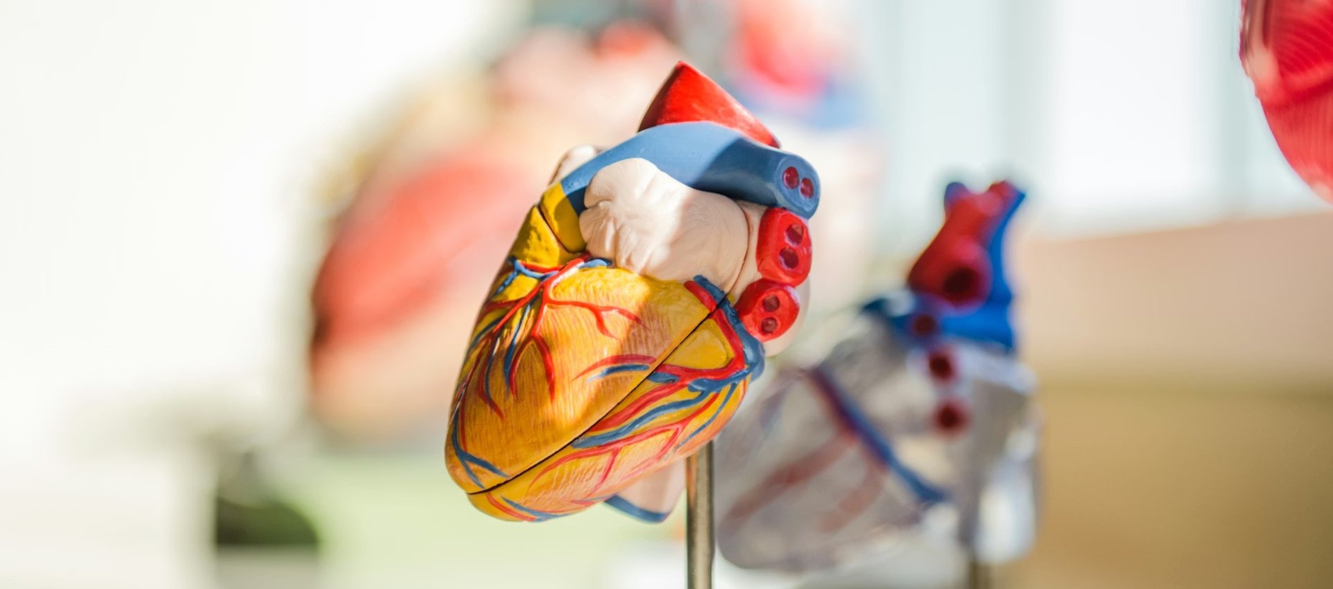 person writing on white paper