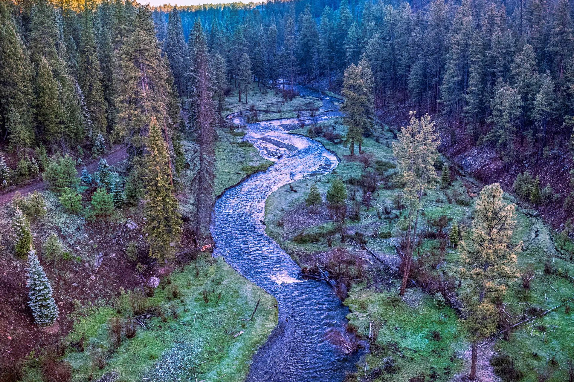 a close up of a black and brown abstract painting