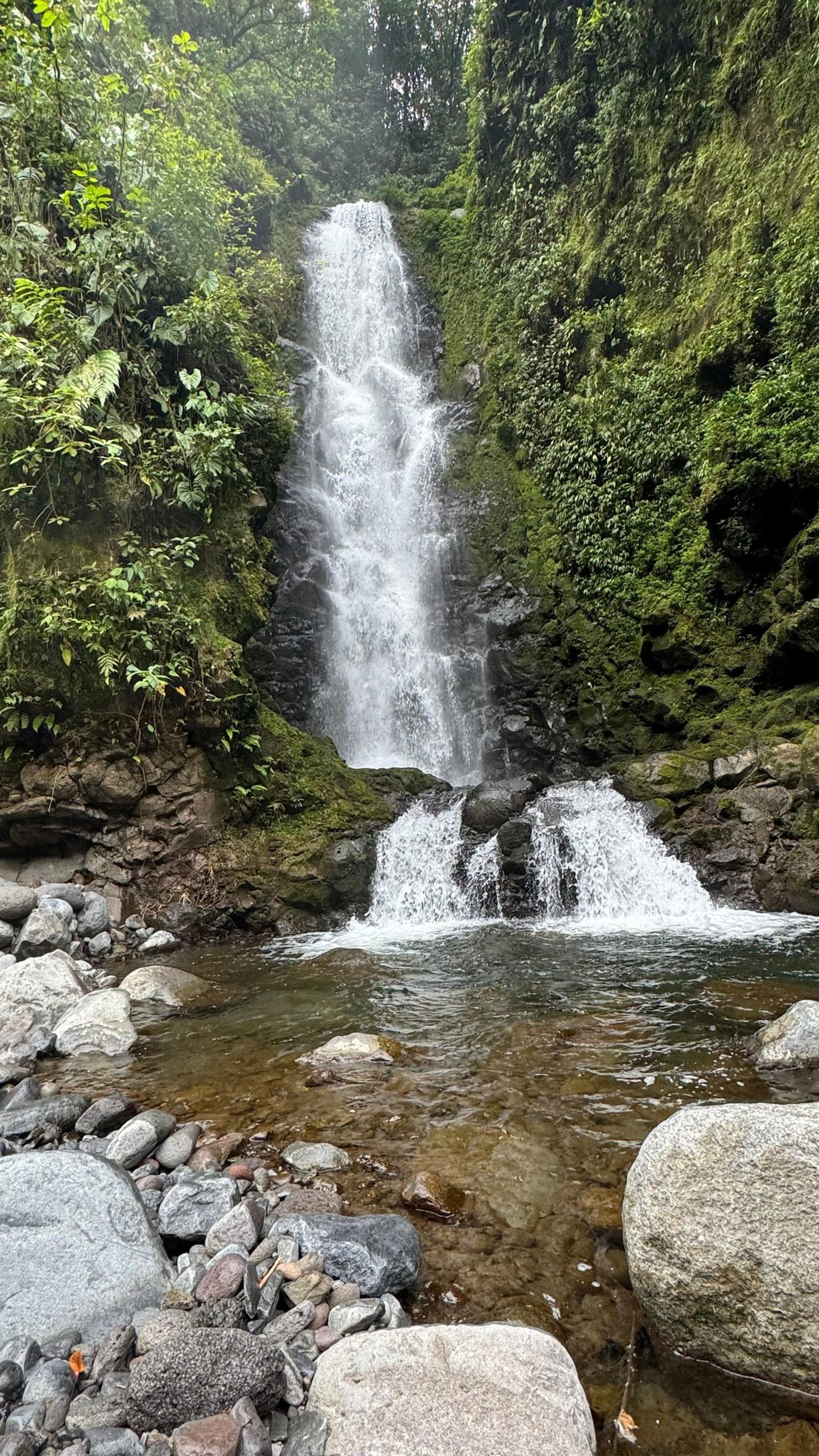 gray computer monitor